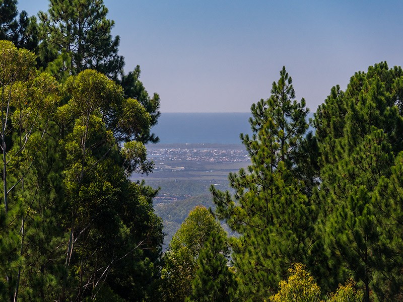 57-65 Guanaba Road, Tamborine Mountain, QLD 4272