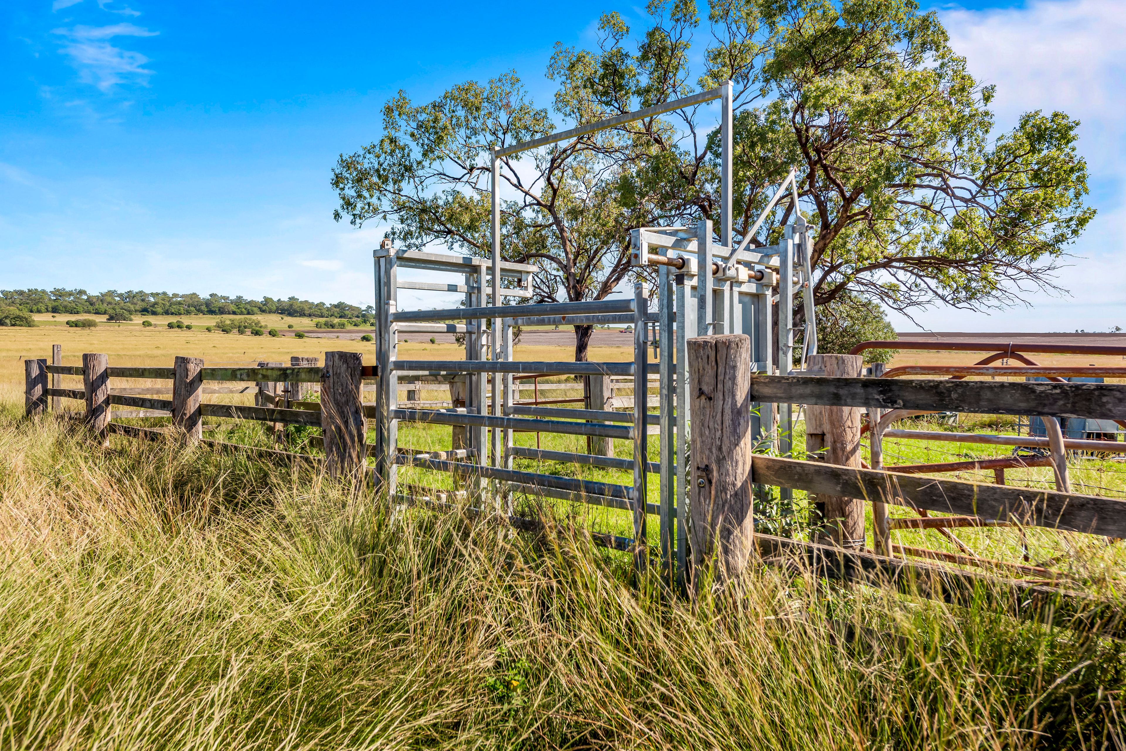 372 Hegarty Road, Ellangowan, QLD 4361 Rural Cropping Property for