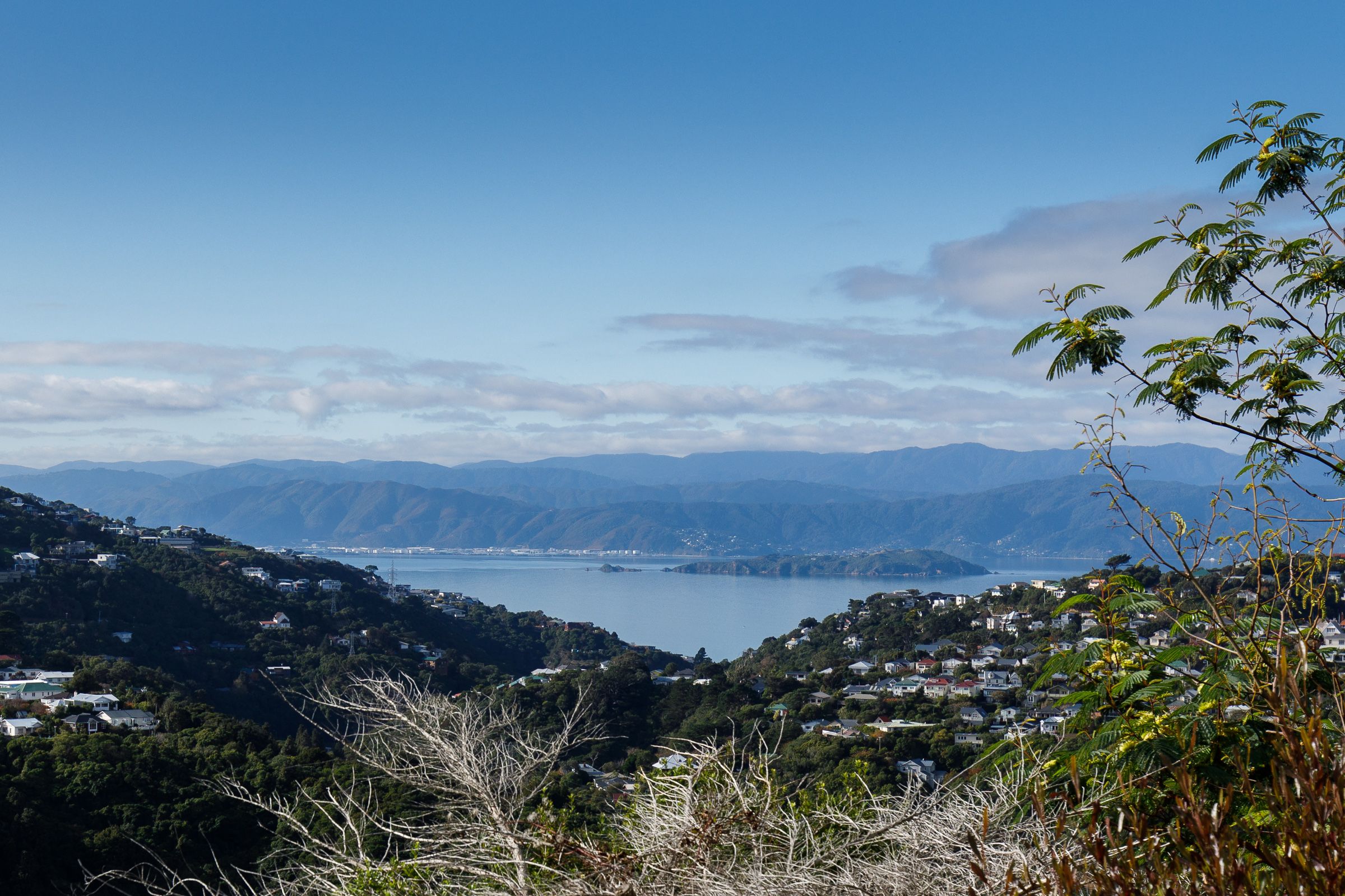 1 Admiralty Street, Crofton Downs, Wellington City