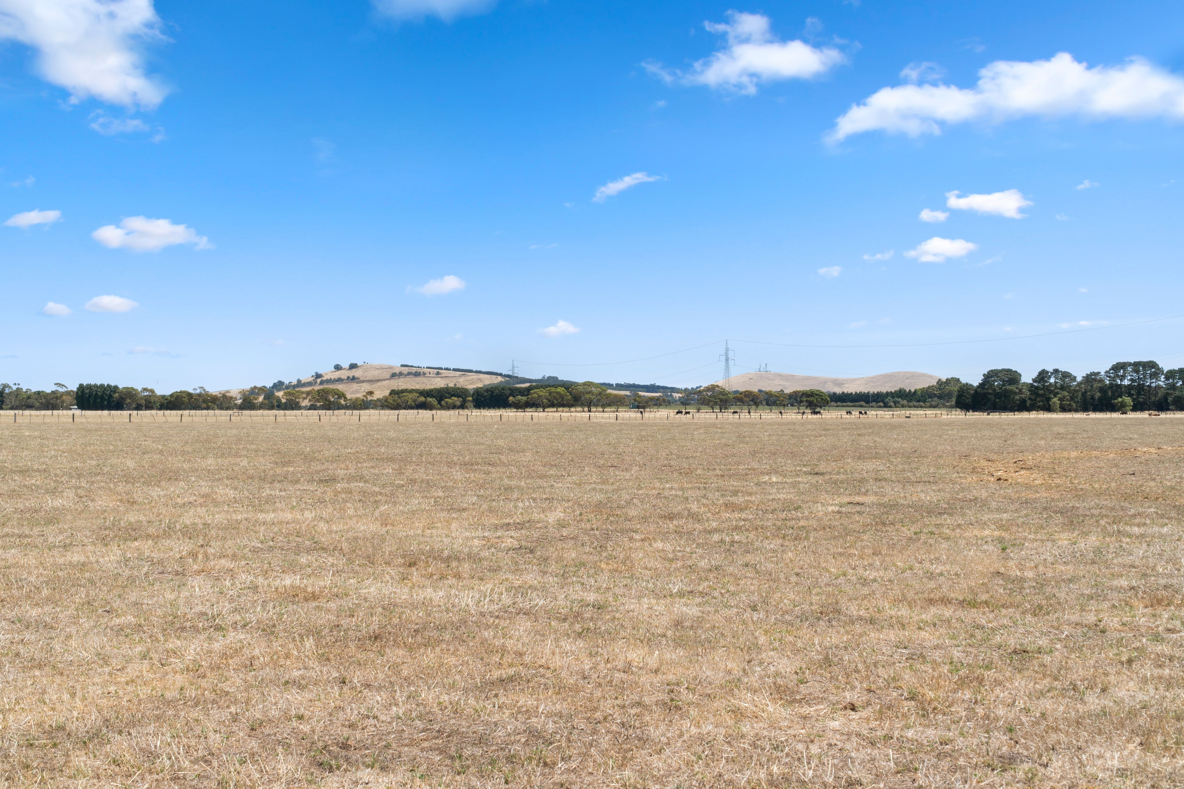 797 Midland Highway — photo 12 of 13