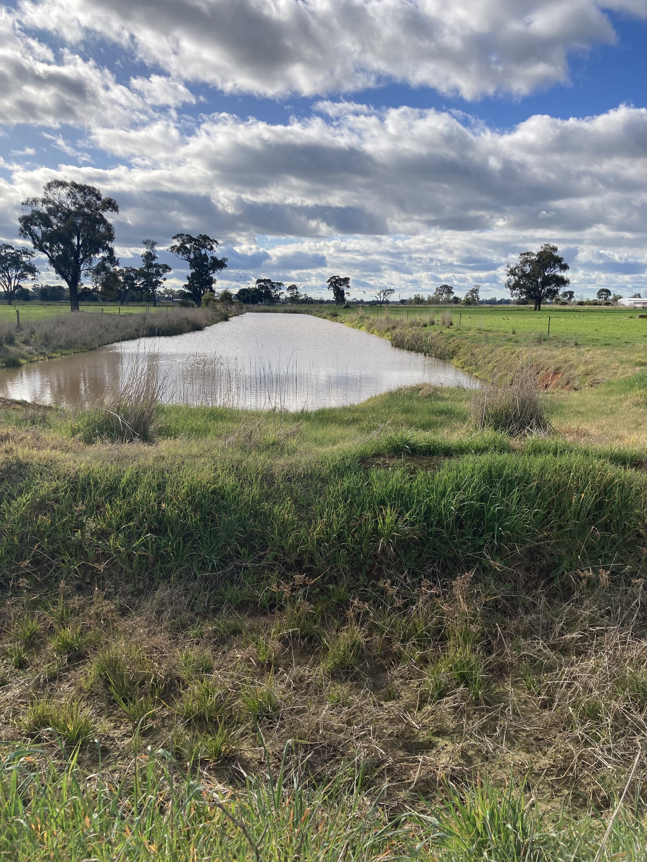 565 Kiota Road, Dhurringile, VIC 3610