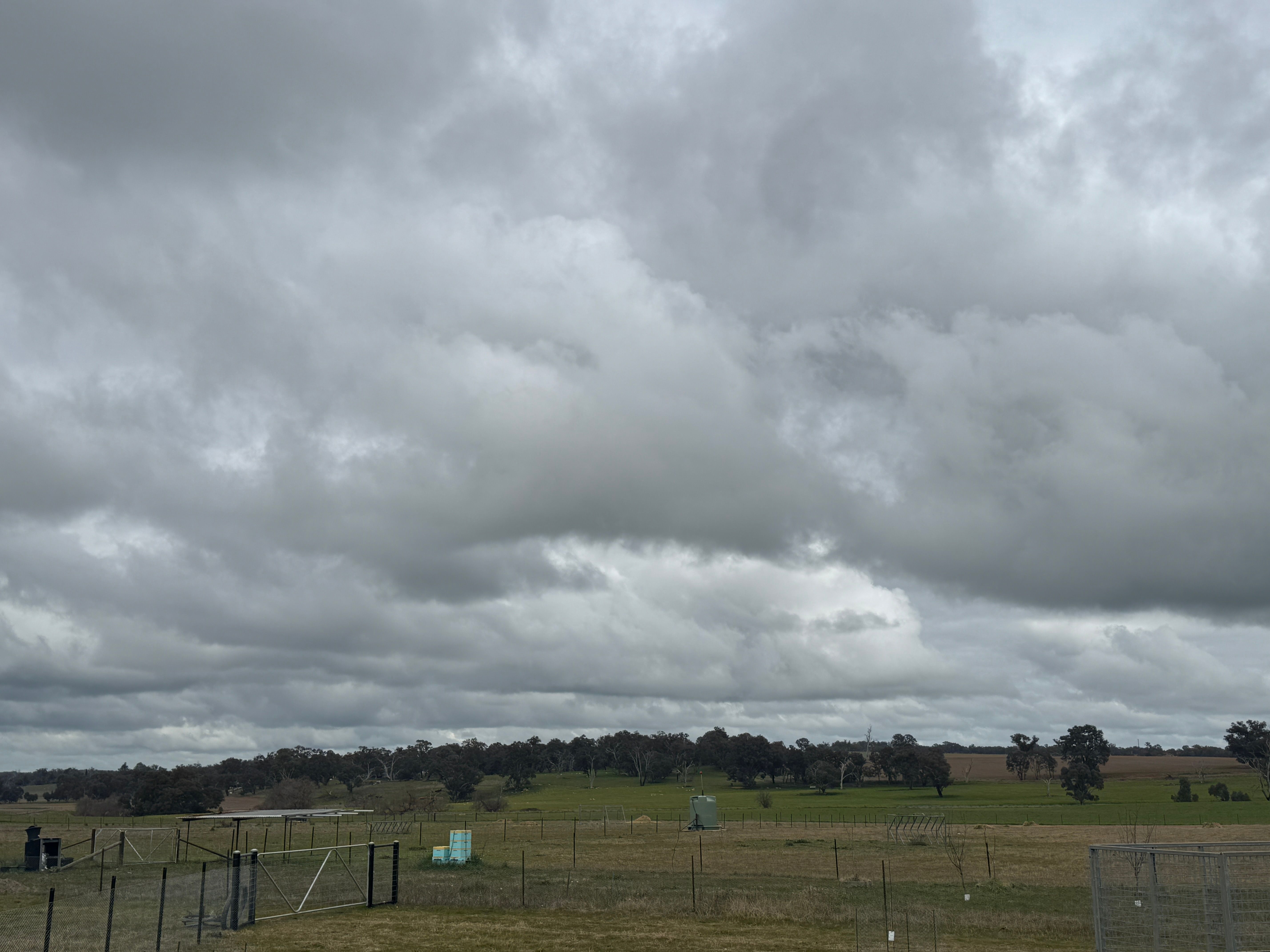 1853 Burley Griffin Way — photo 14 of 14