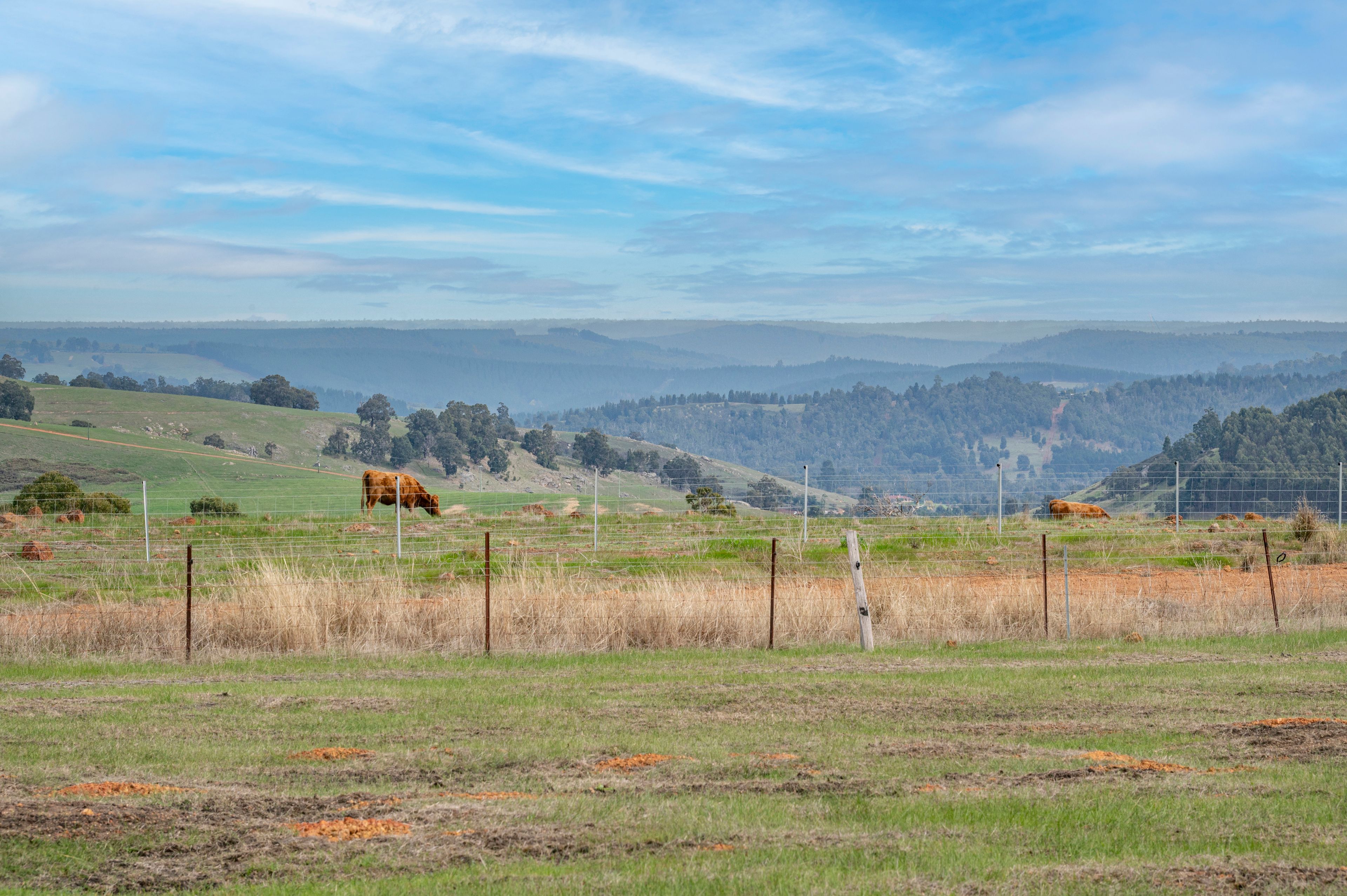 PL 80 South Western Highway, Hester Brook, WA 6255