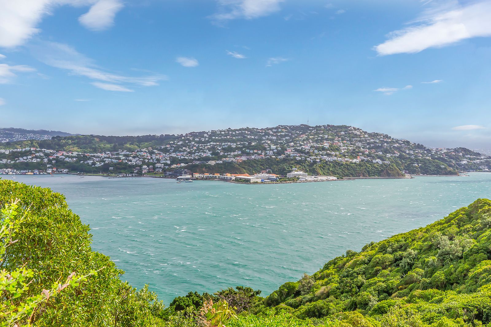 26 Duchess Place, Maupuia, Wellington City