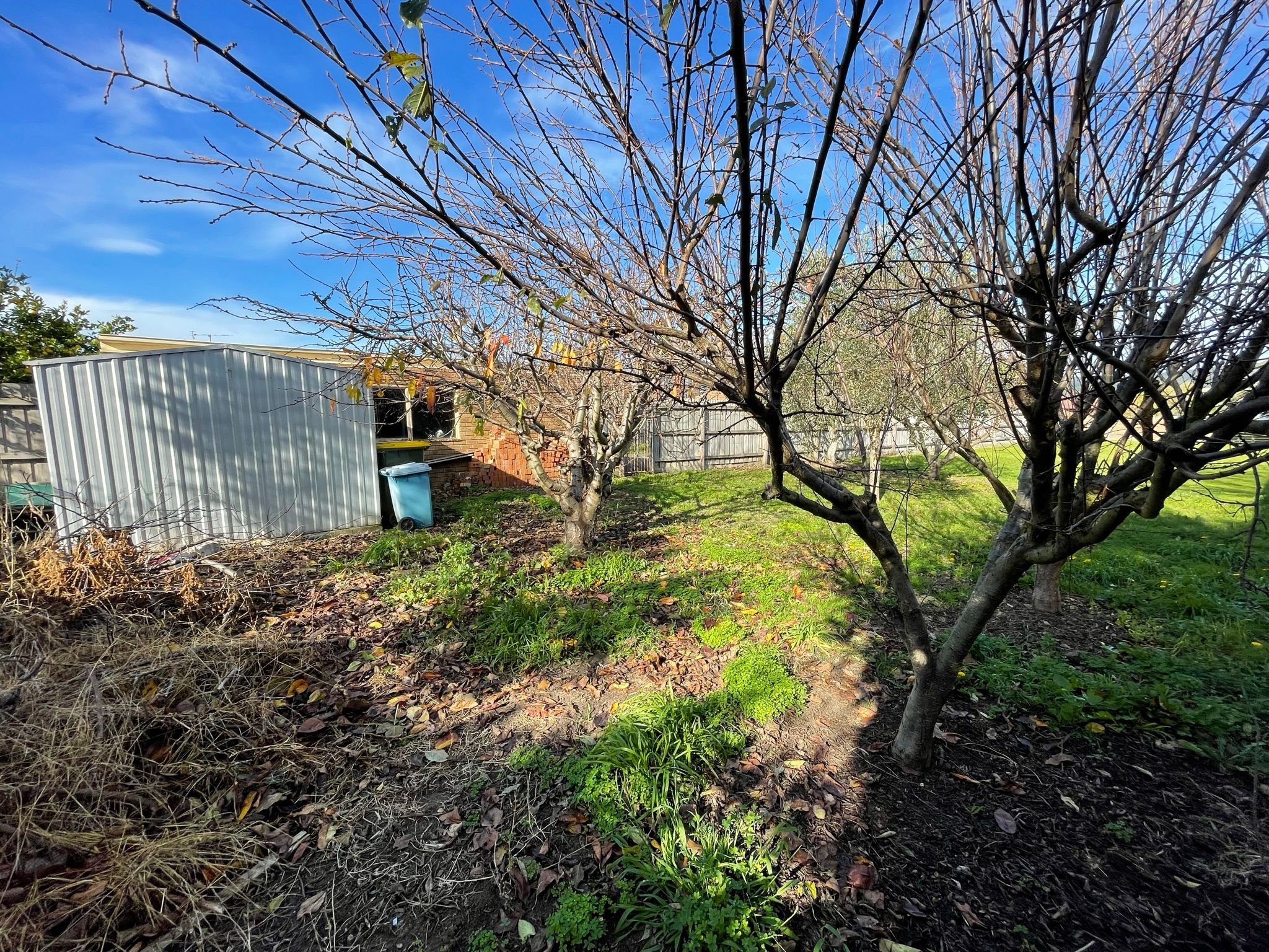 27 Balmoral Avenue — photo 12 of 23