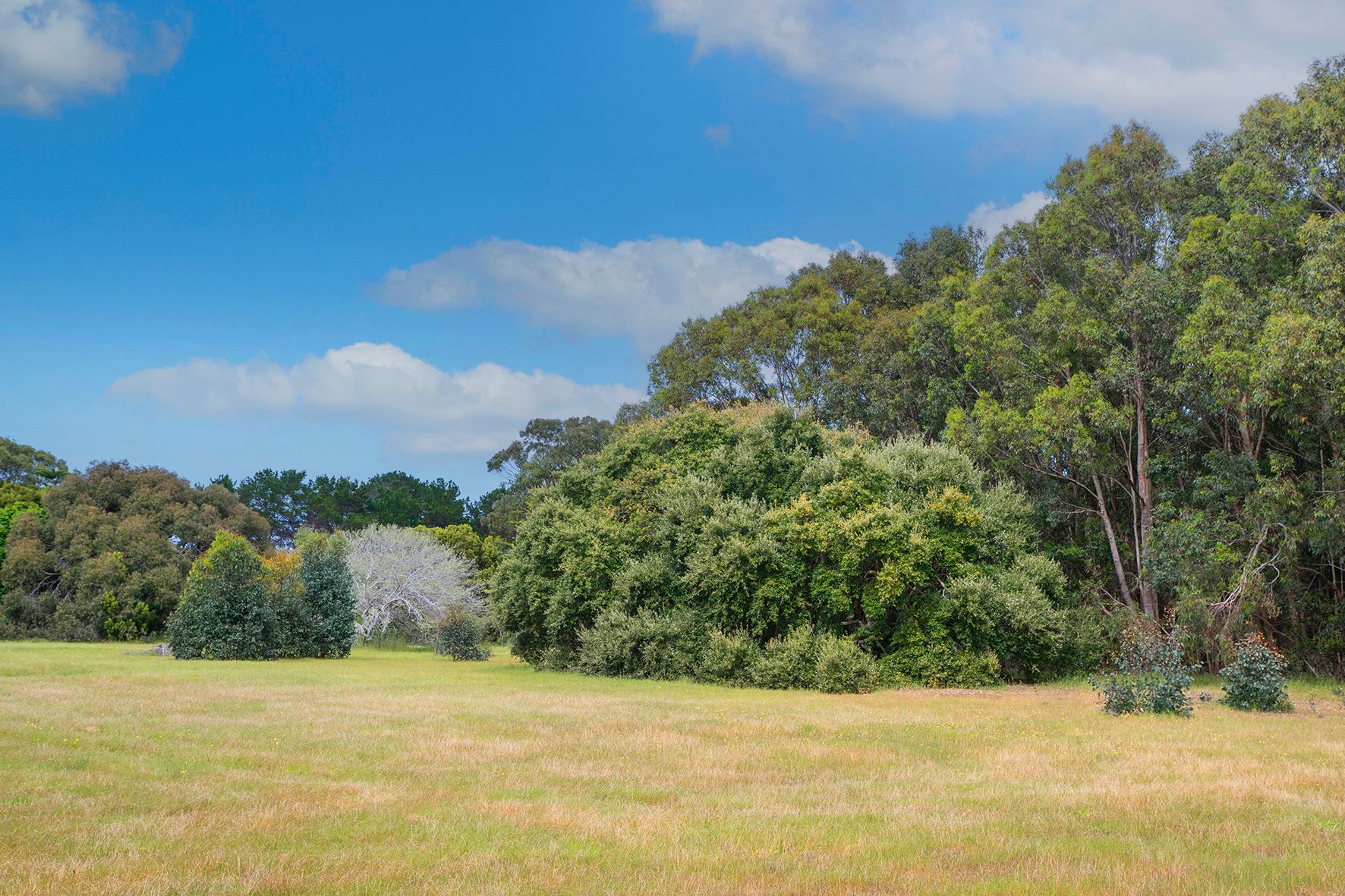 Lot 44 Lukes Road — photo 5 of 11