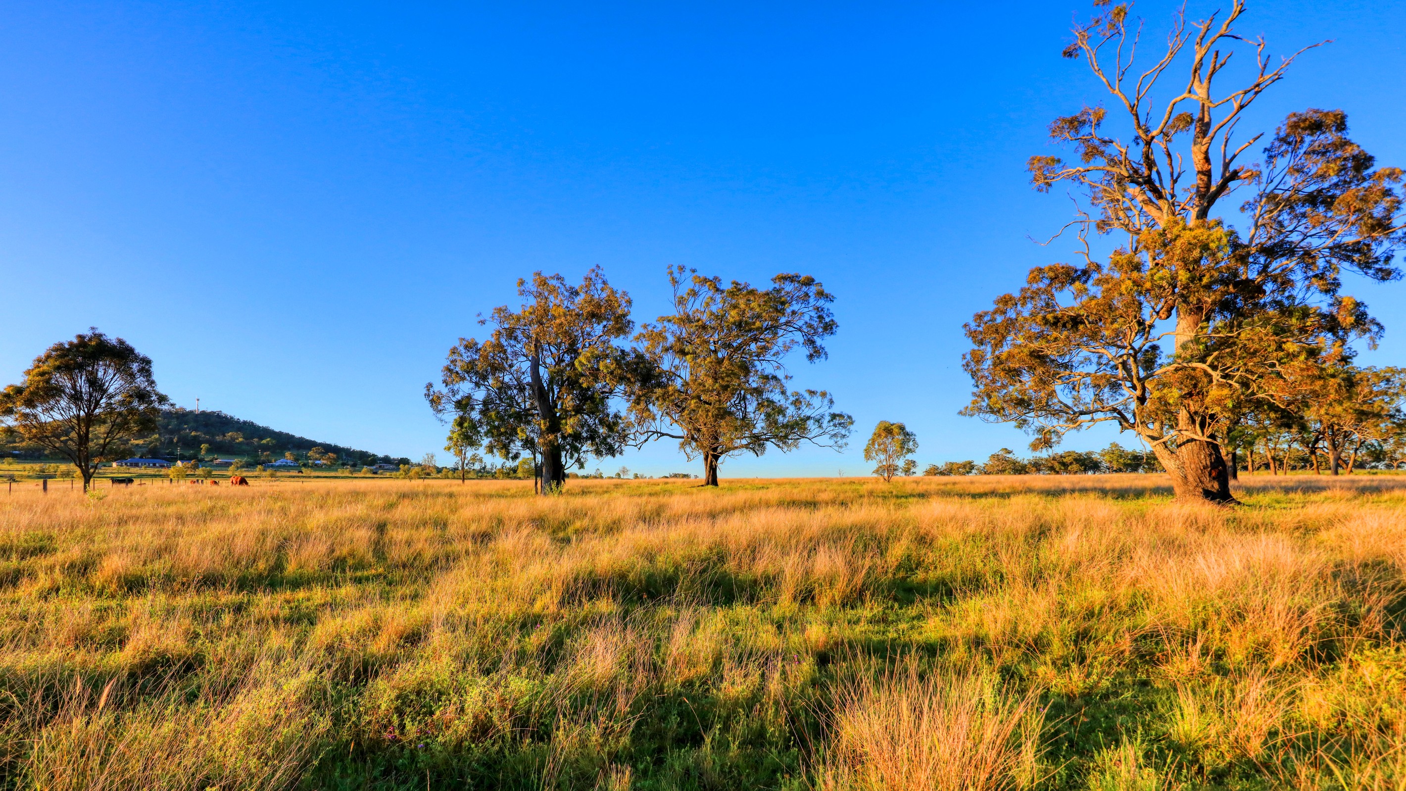 Lot 6 Hanrahan Road, Finnie, QLD 4350