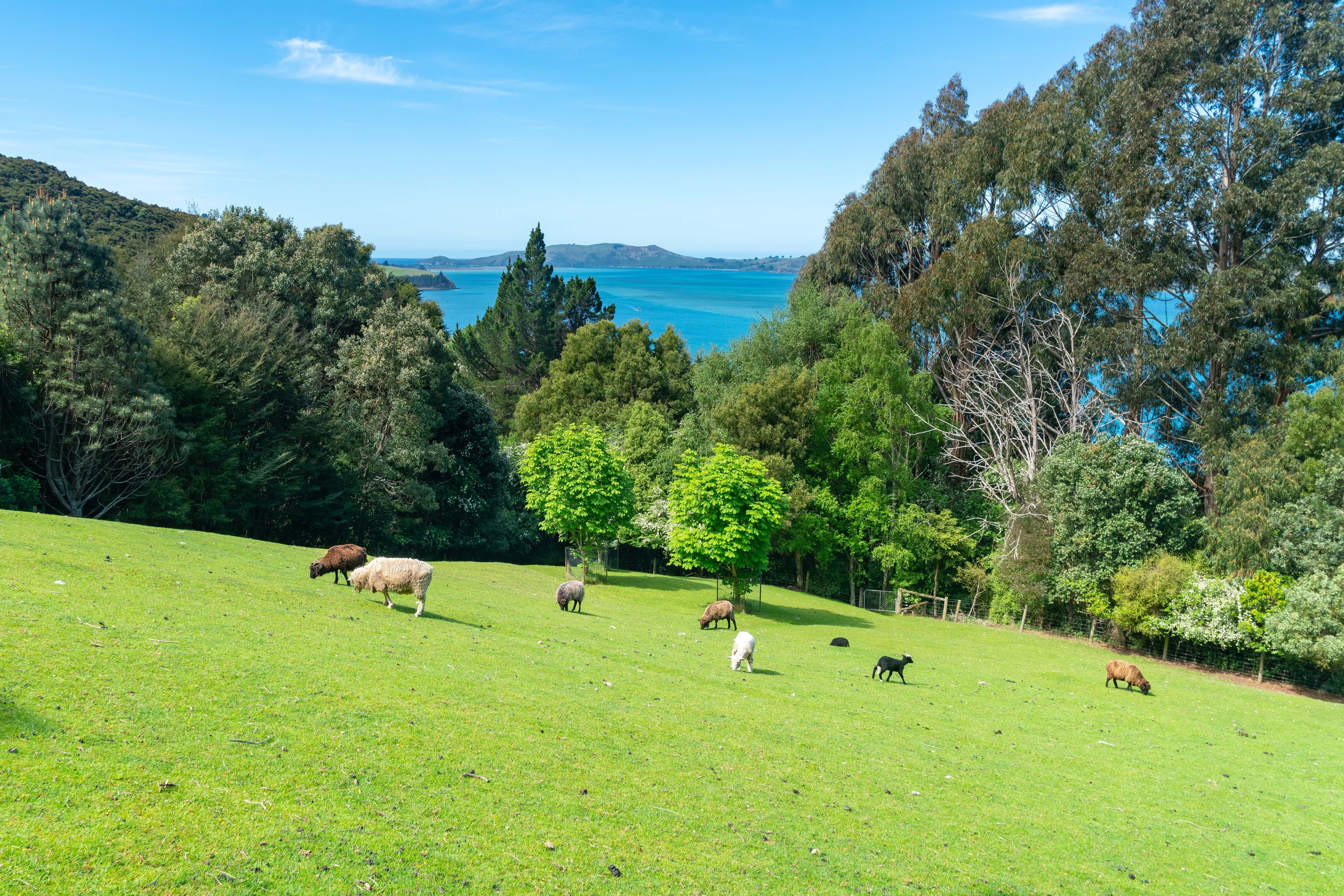 62 Reynoldstown Road, Careys Bay, Dunedin City