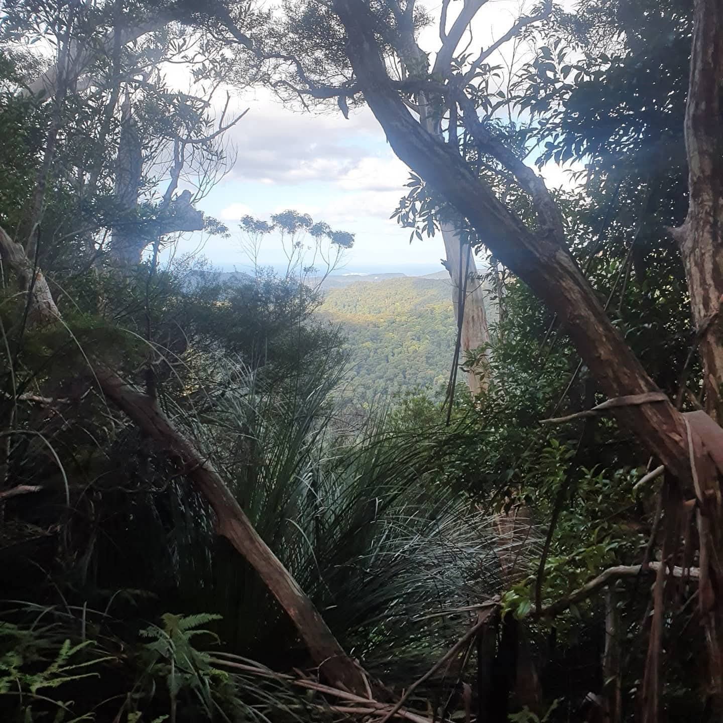 Springbrook, QLD 4213