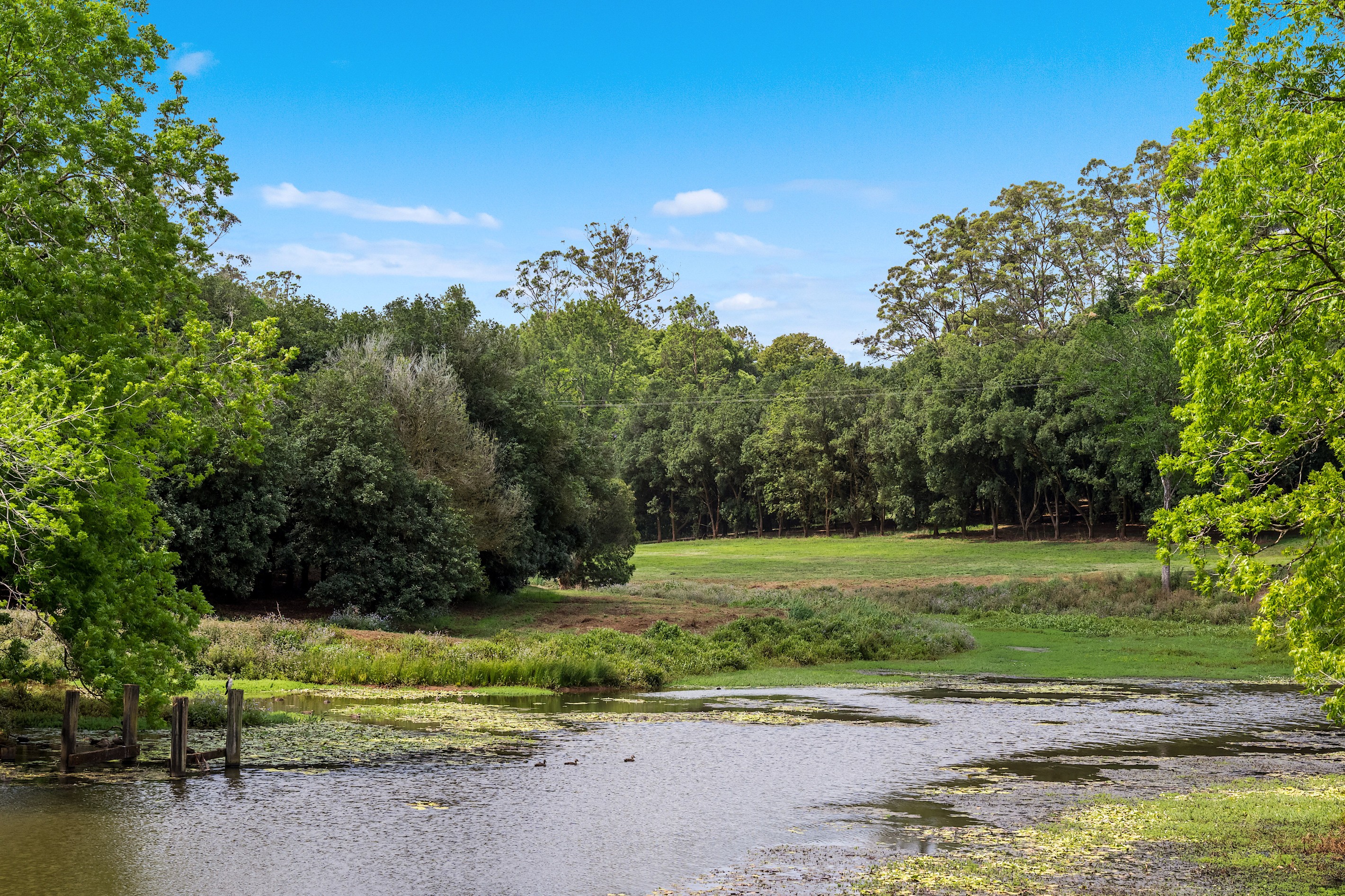 323 Eureka Road, Eureka, NSW 2480