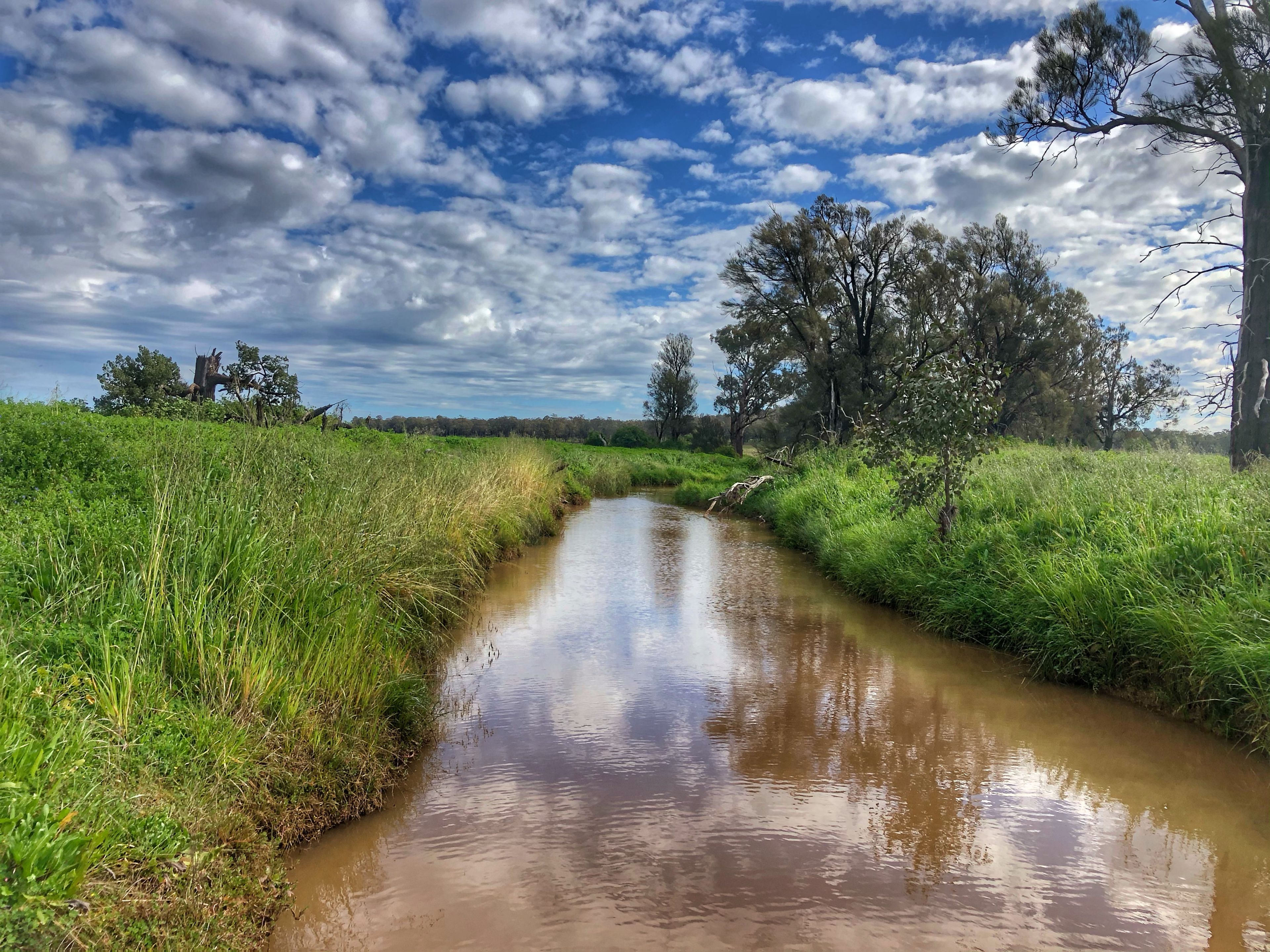 'Moira' 656 Crowley Road, Trundle, NSW 2875