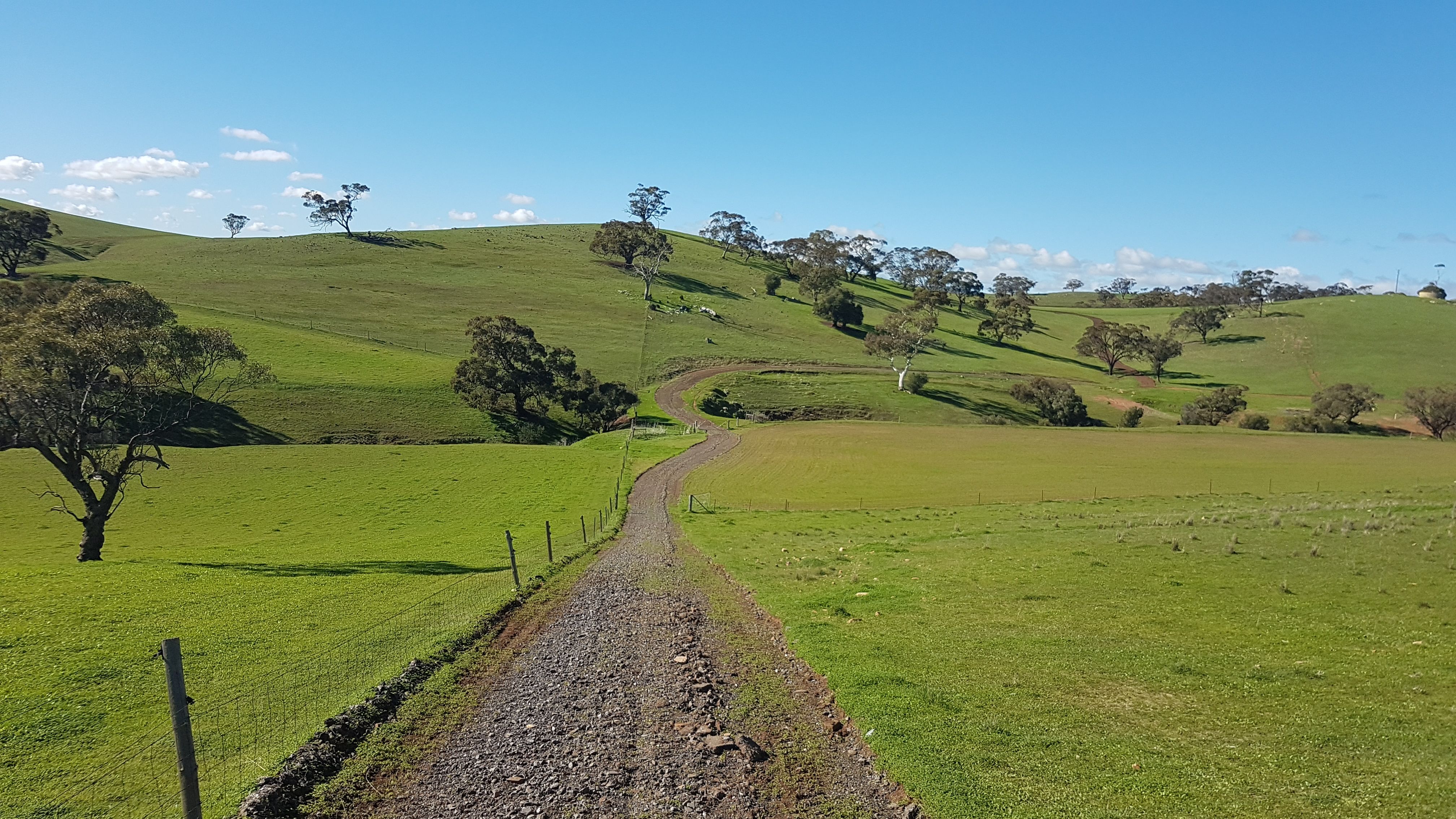 Lot 90 Rosedale Scenic Road, Lyndoch, SA 5351