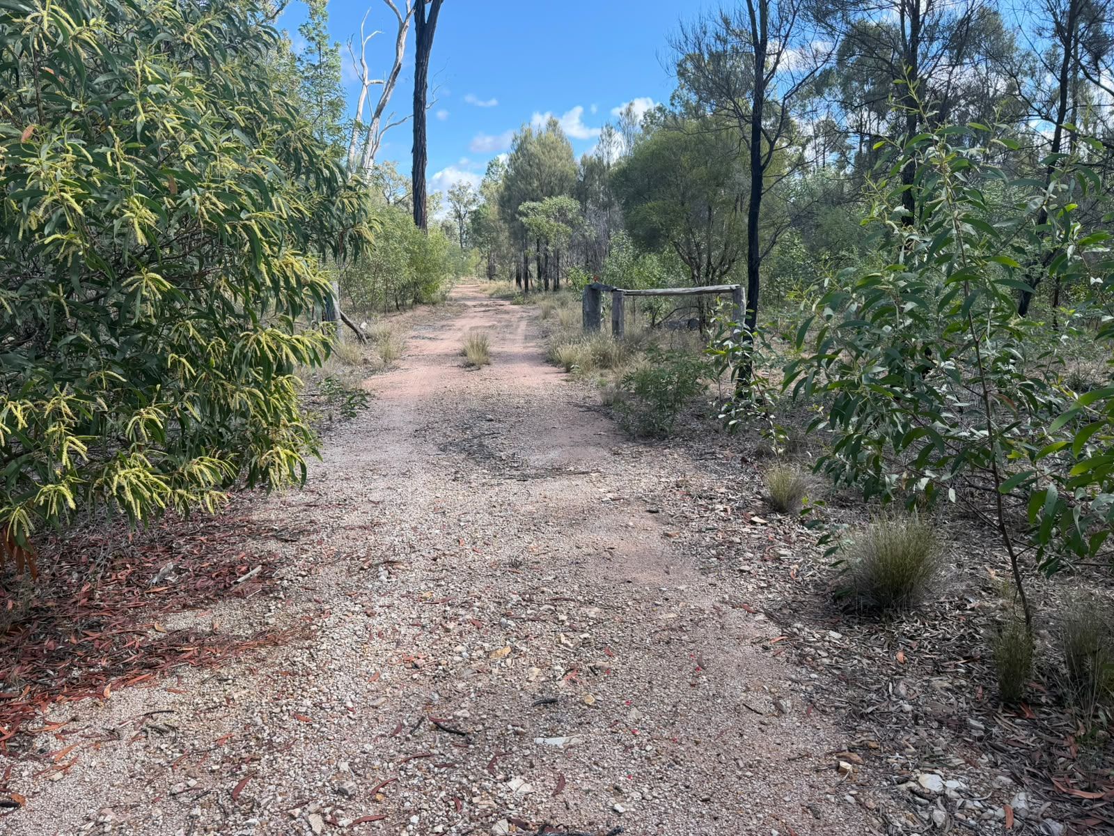 79 Butterfly Road — photo 14 of 14