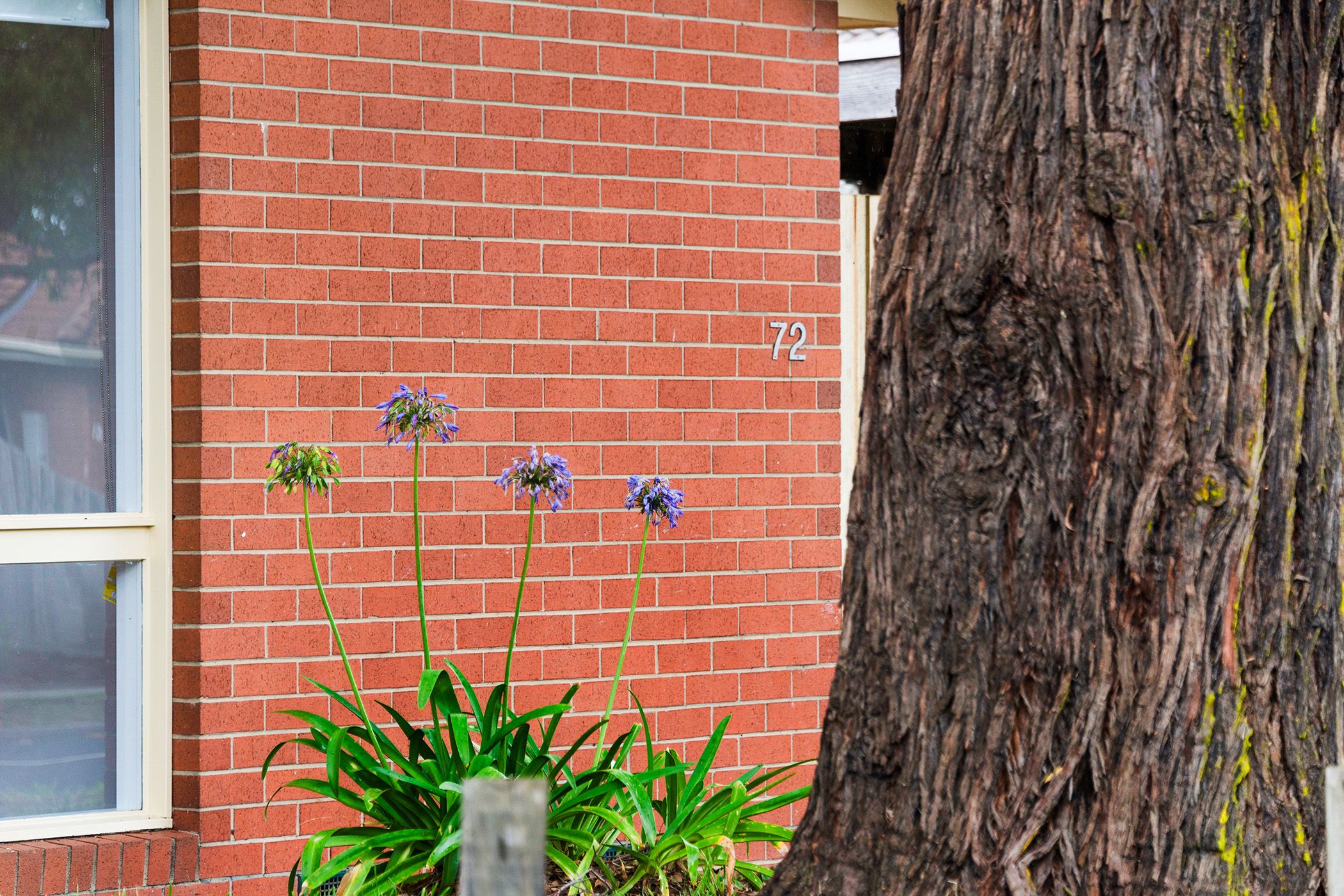 72 Taketa Crescent, Frankston, VIC 3199