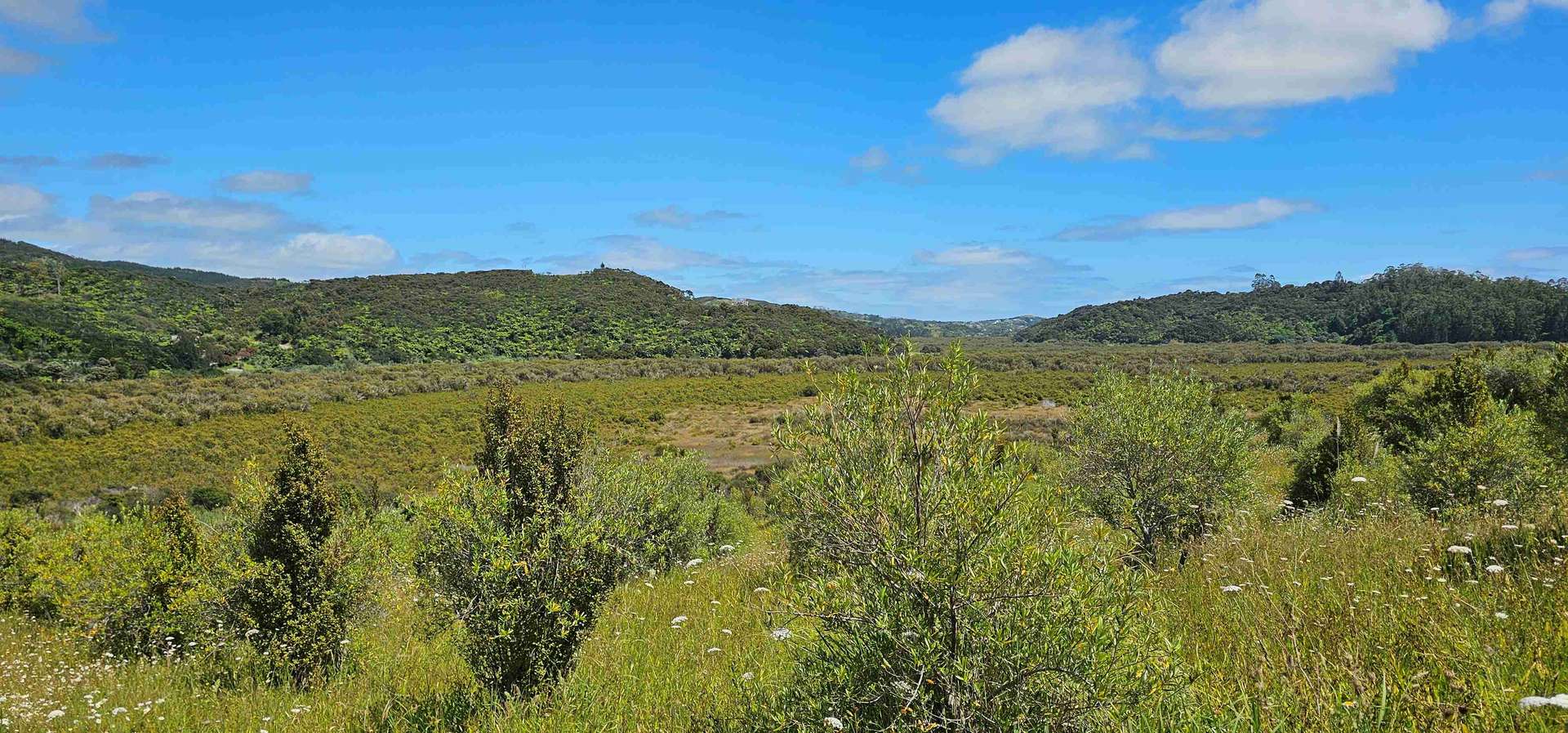 105 Frantoio Ridge Road photo 17
