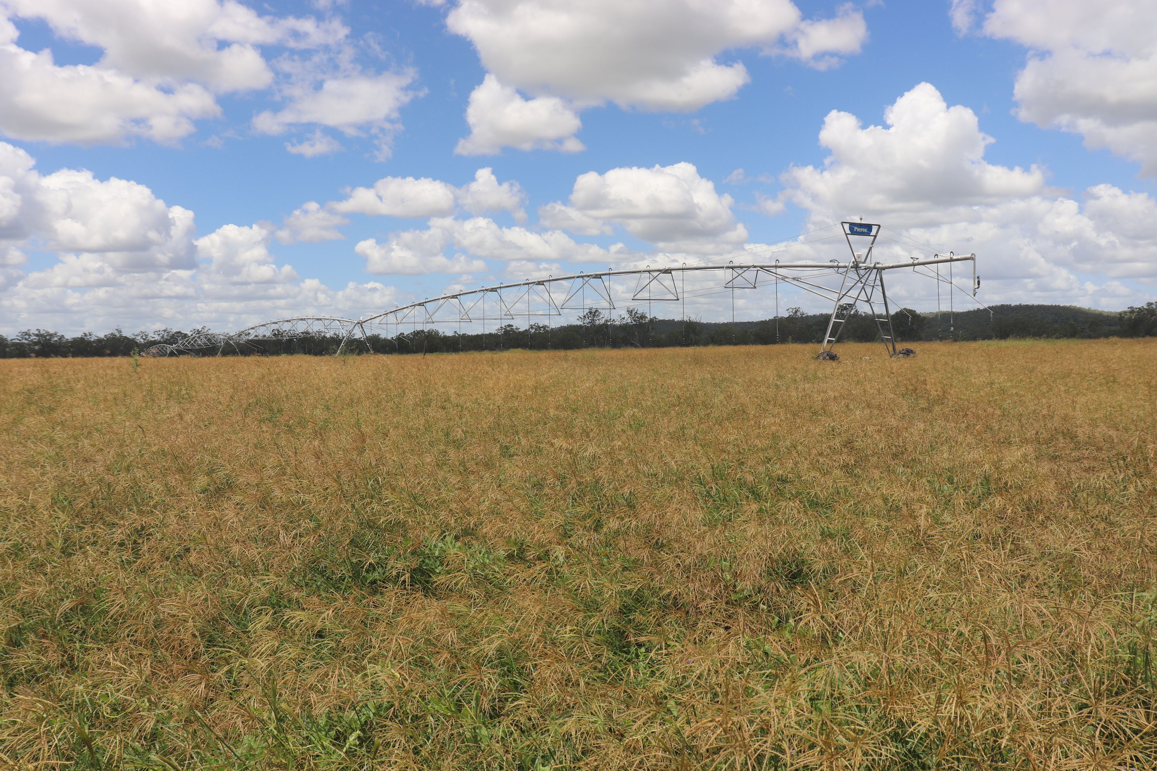 296 O'Bil Bil Road, Malmoe, Eidsvold, QLD 4627 Rural Property for