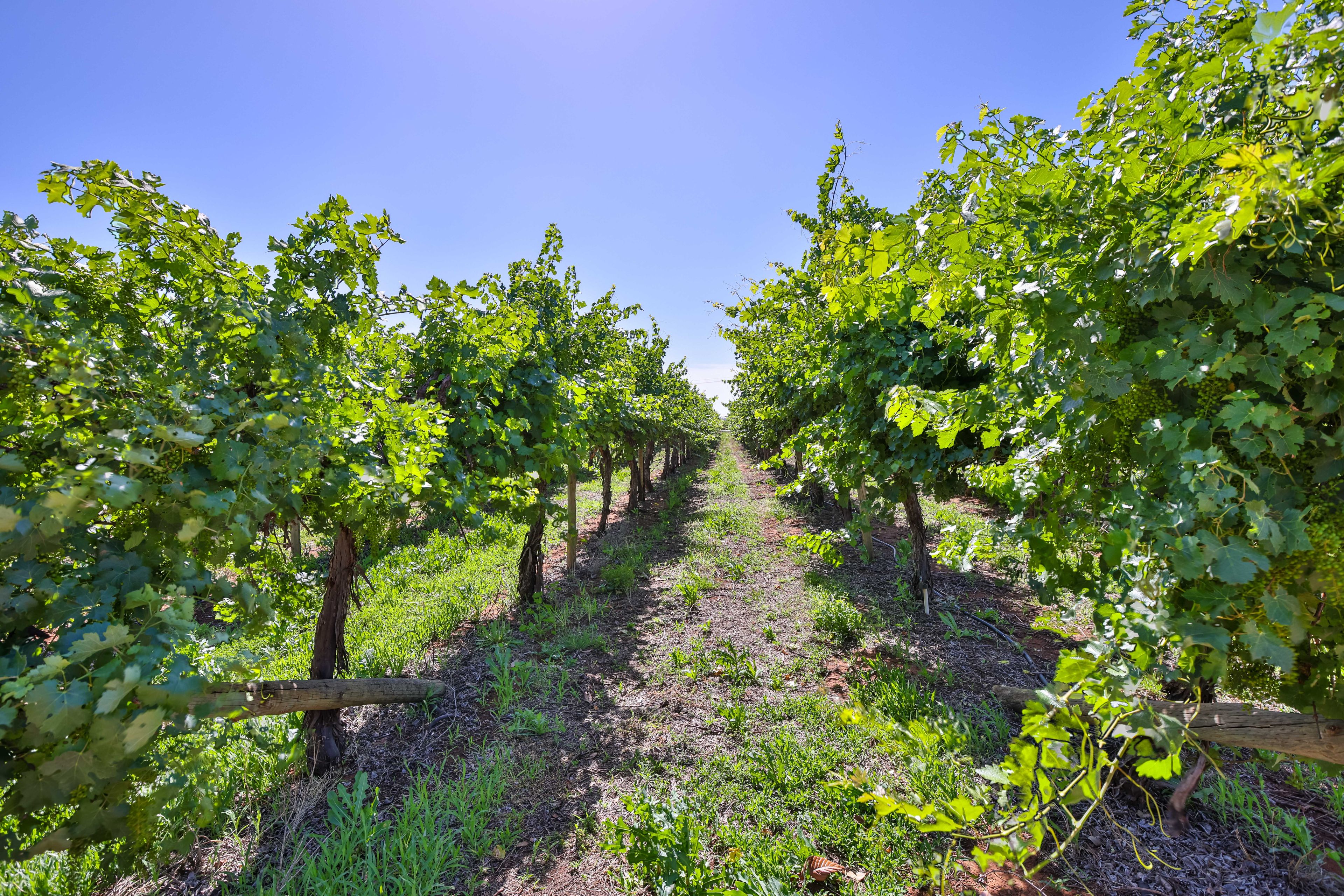 285 Combunyee Road, COOMEALLA, NSW 2717