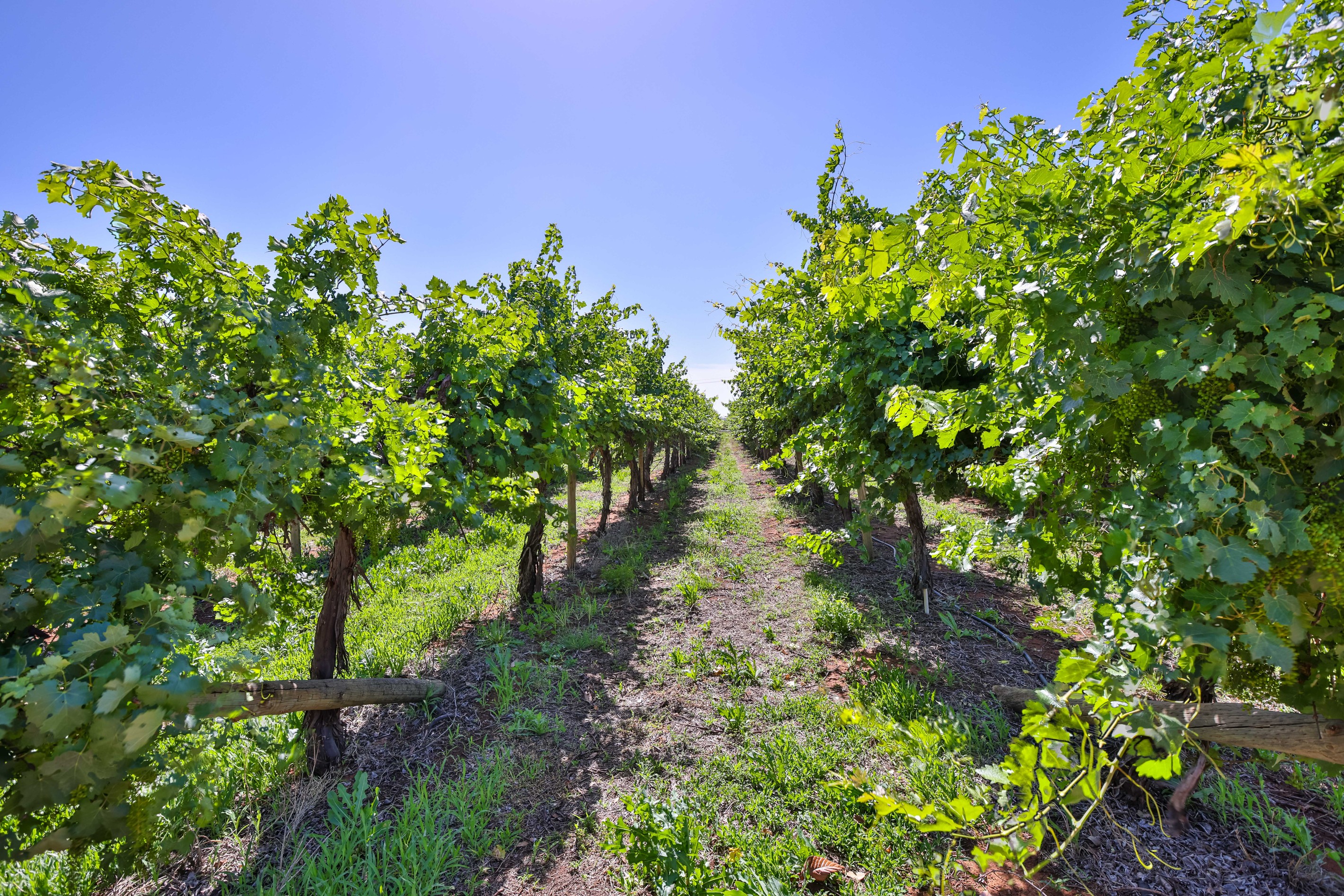 285 Combunyee Road, COOMEALLA, NSW 2717