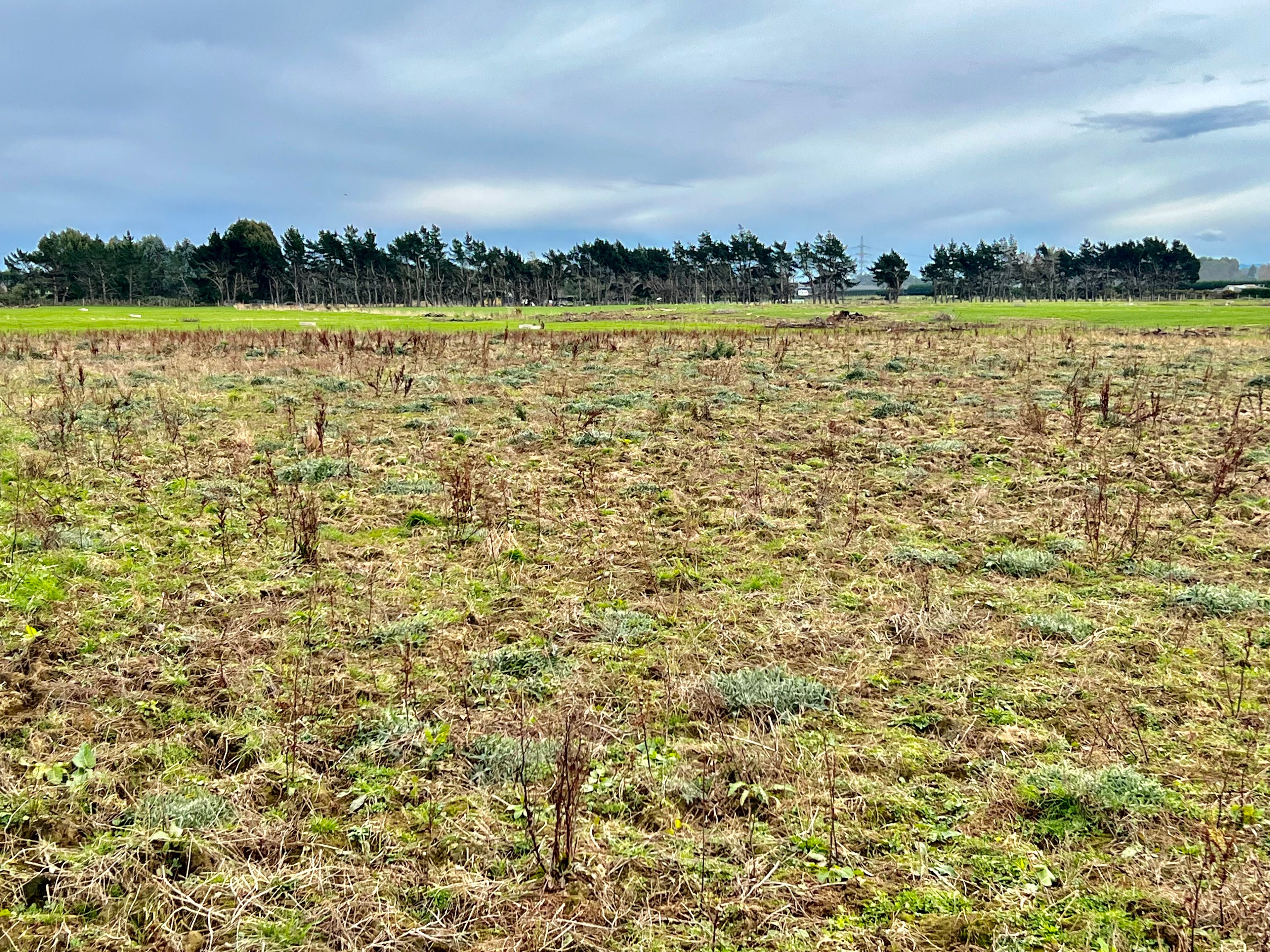 Lot 17 Kennington Waimatua Road, Kennington, Invercargill