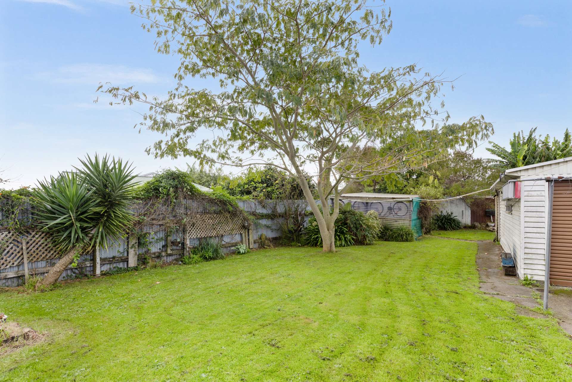 27 Wyatt Avenue photo 0