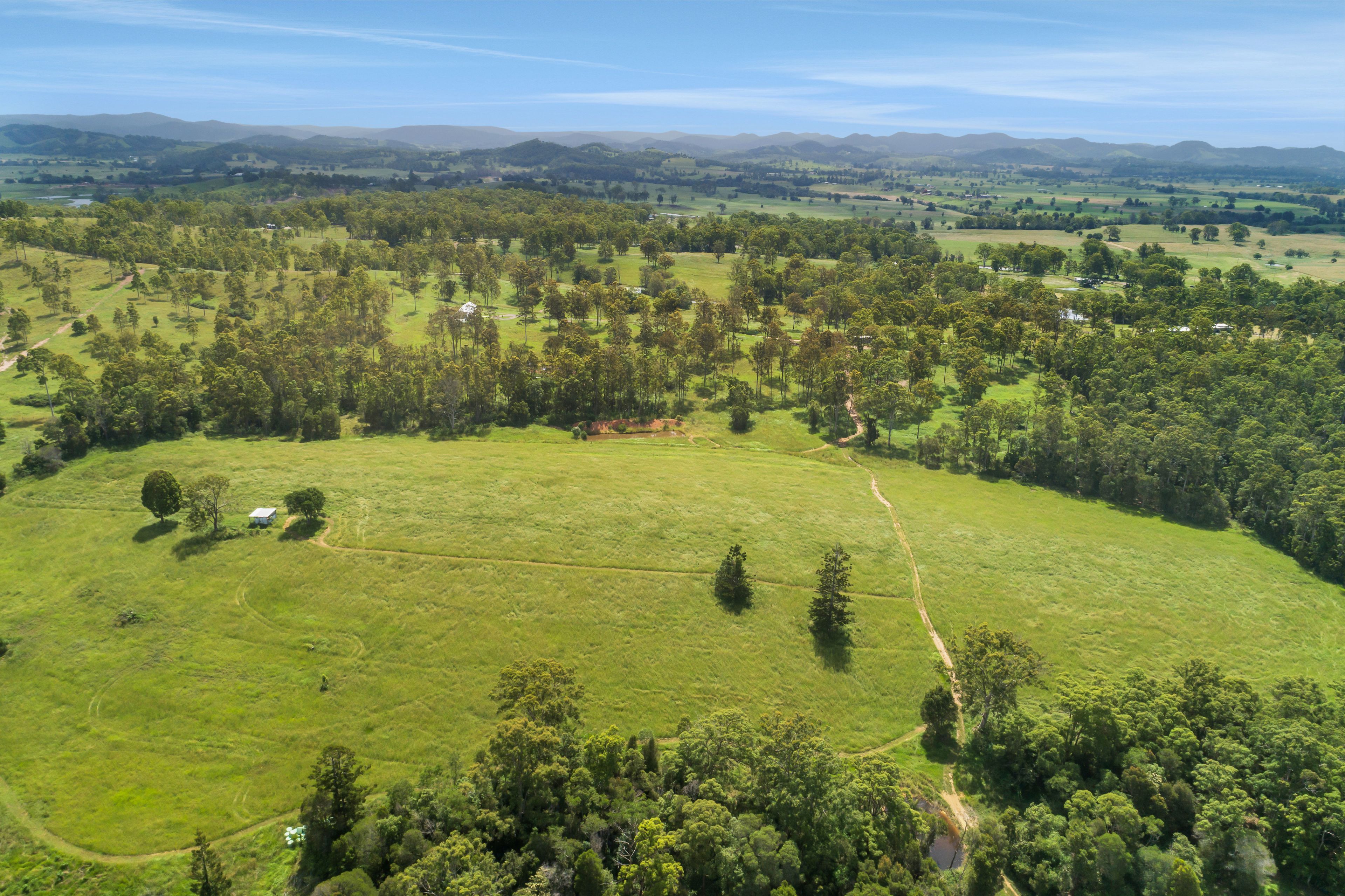 'The Mary Valley Farm' - A Rare Hinterland Legacy — photo 27 of 30
