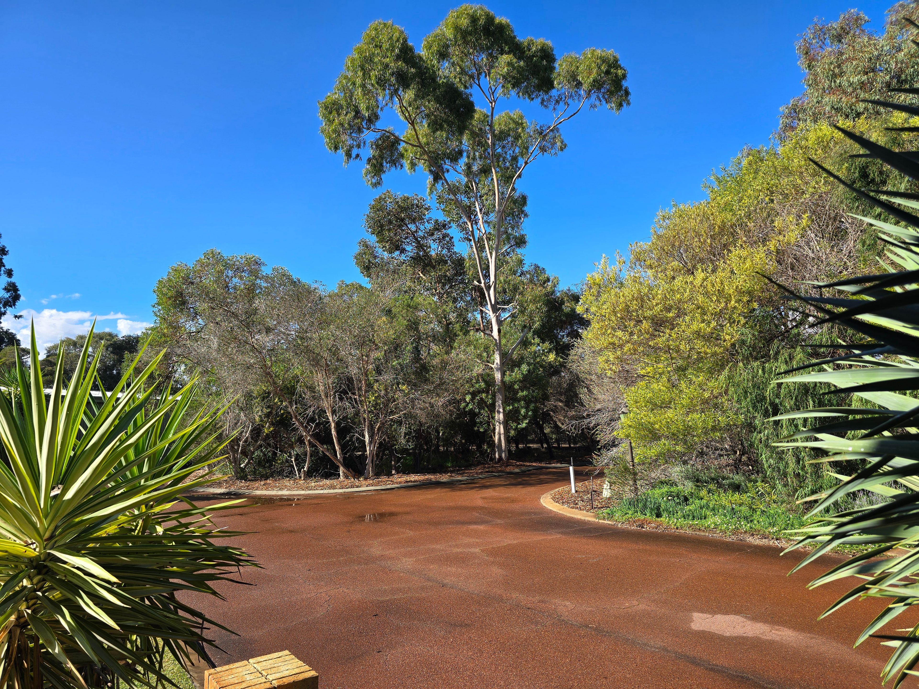 15 Wolfe Road — photo from Ray White Cottesloe Mosman Park