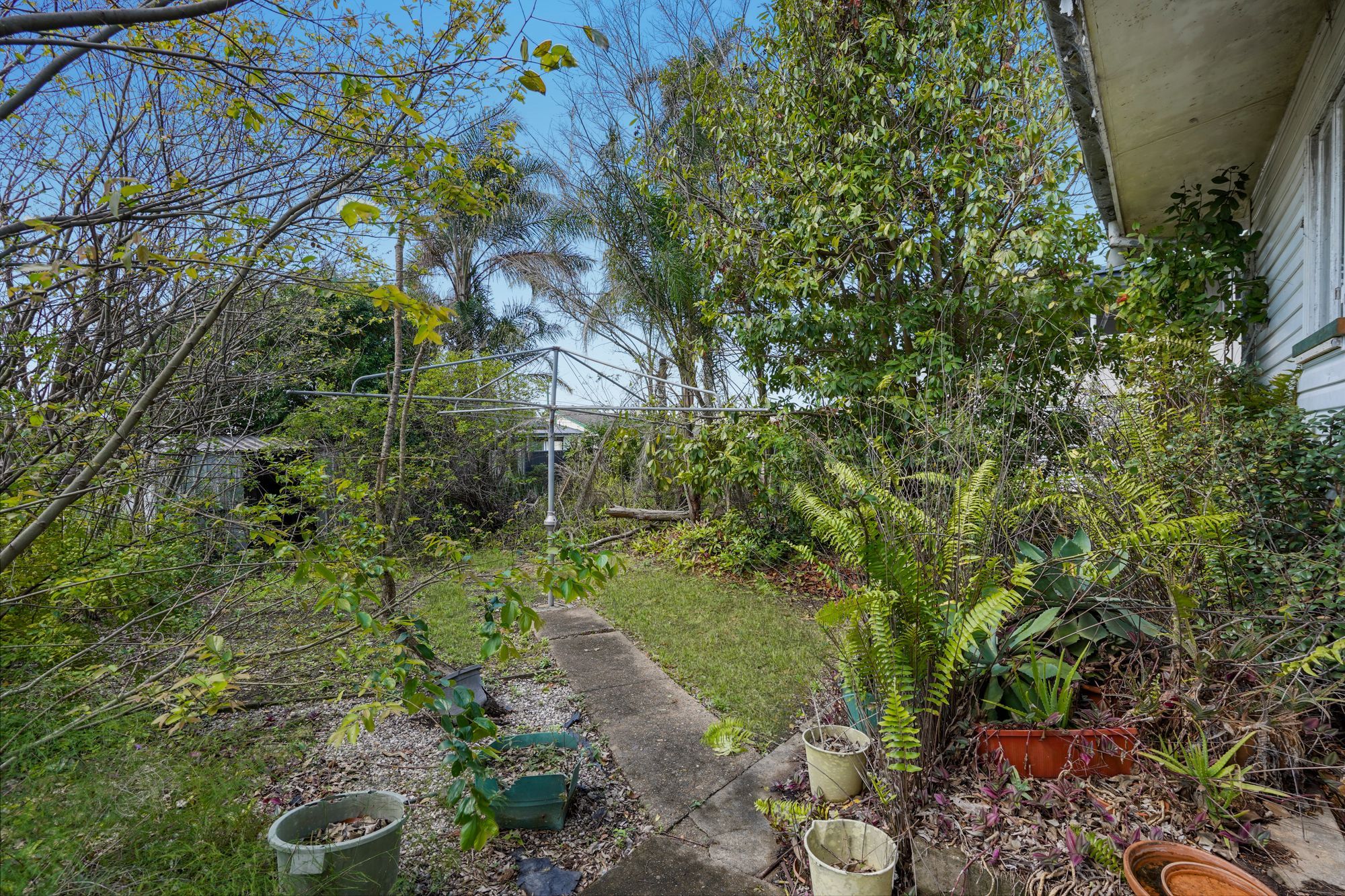 12 Hillcroft Street — photo 17 of 21