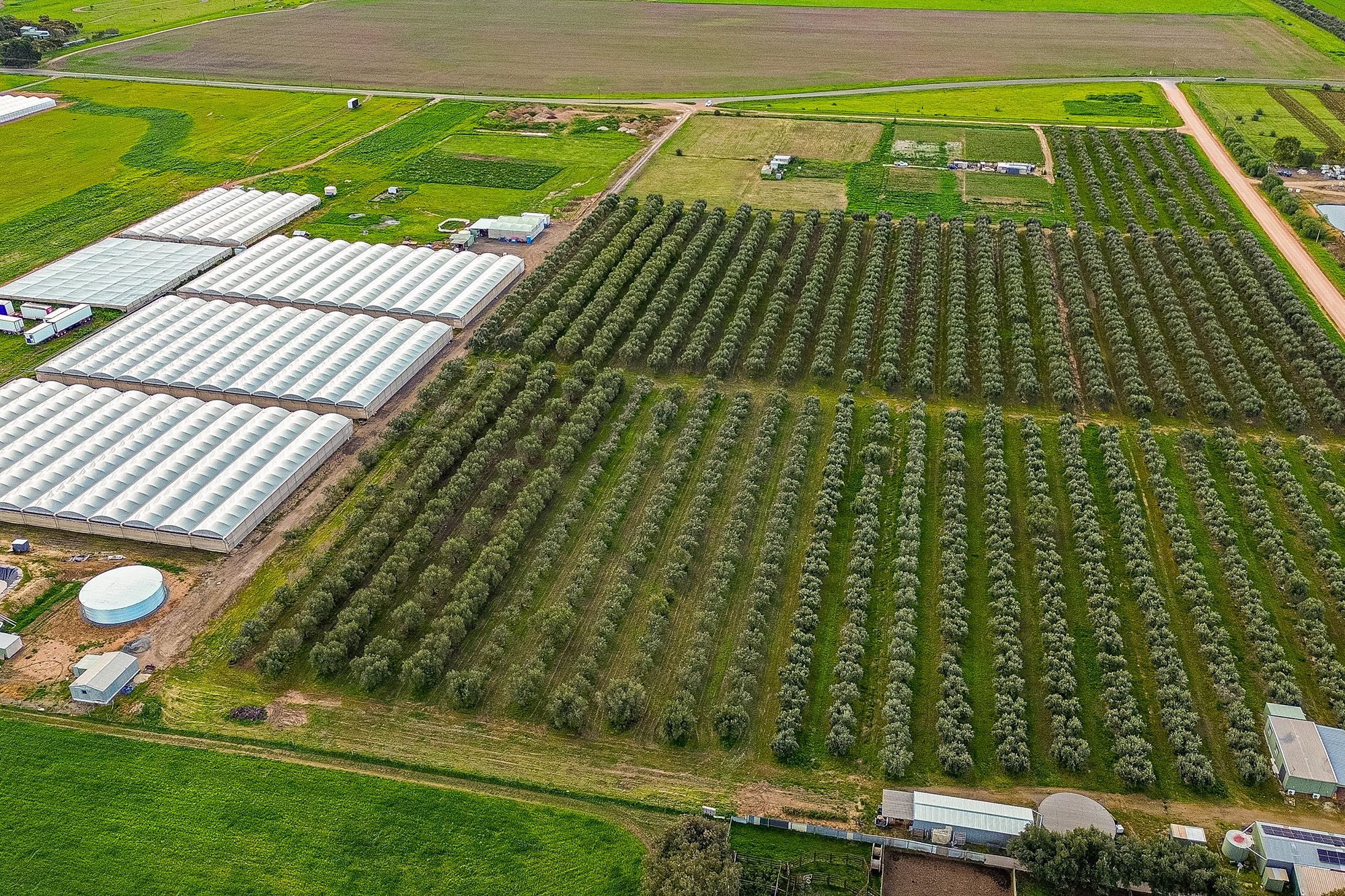 Lot 103 Gawler River Road — photo 6 of 8