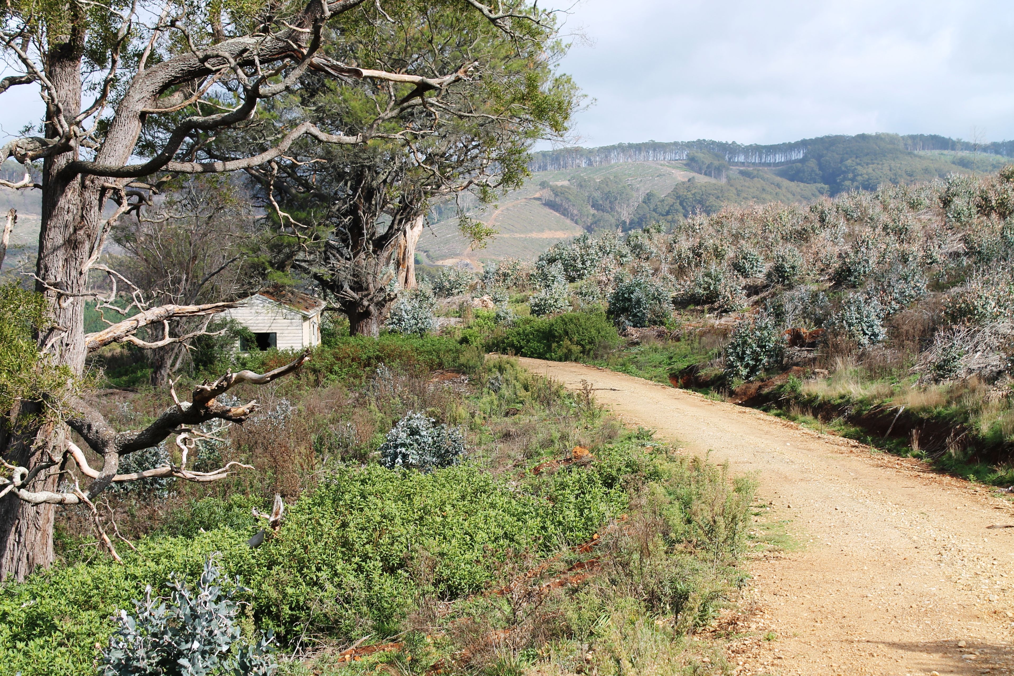 'Pattinson' Lot 1 Carrajunga Lower Road, Carrajung Lower, VIC 3844