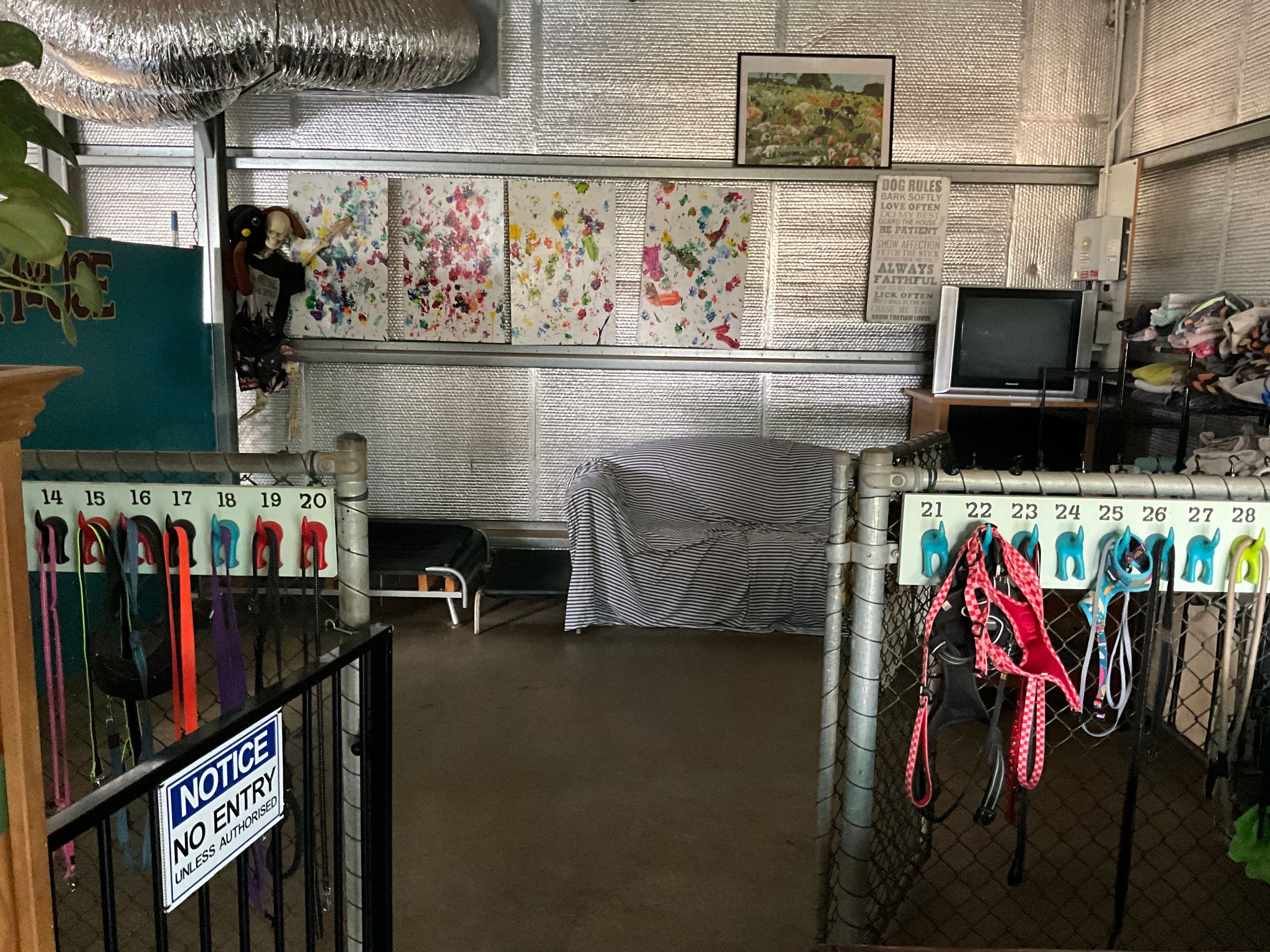 ***WOOFS HOUSE DOG DAY CARE***, Moonyoonooka, WA 6532