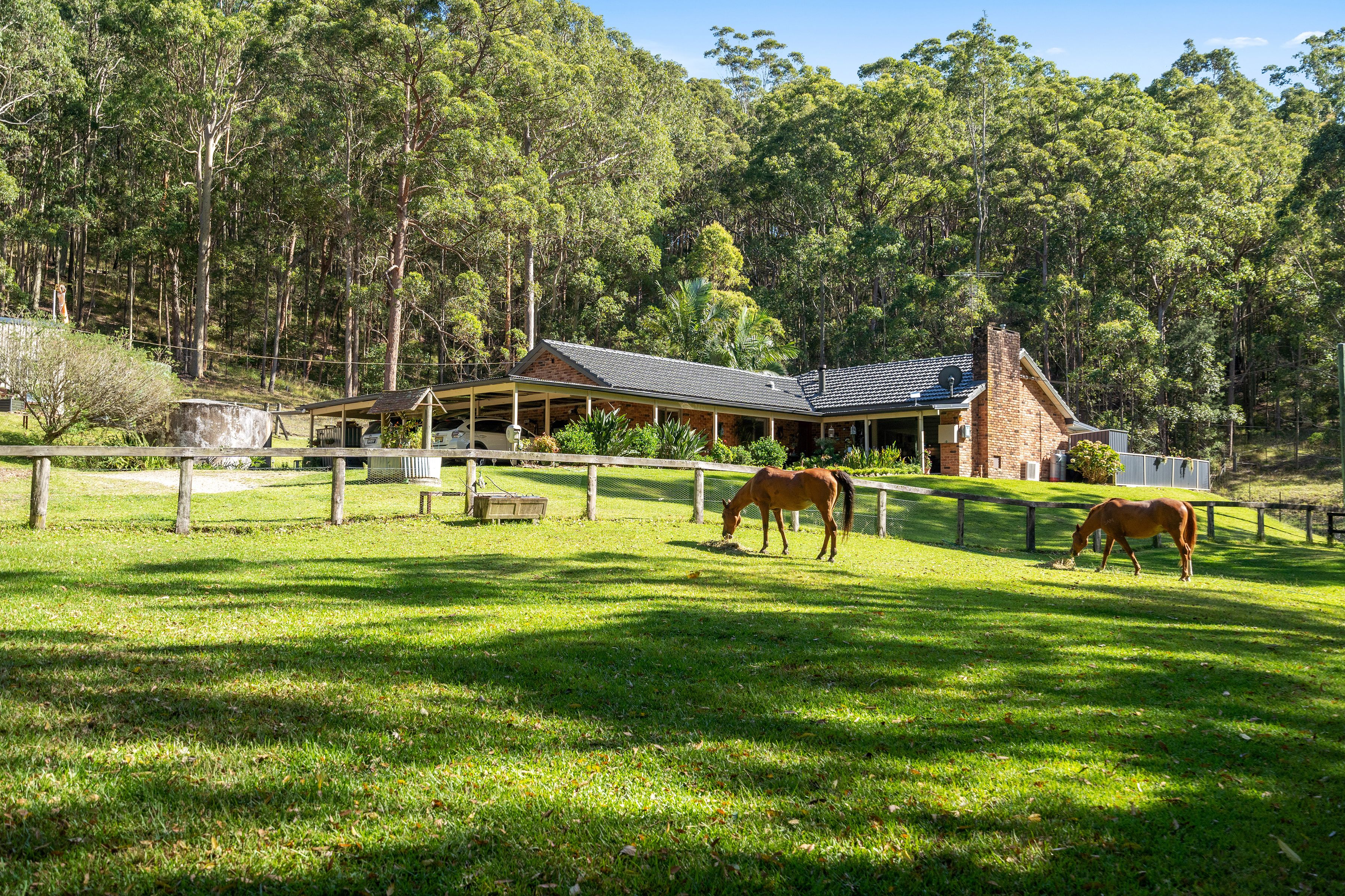 832 Mandalong Road, Mandalong, NSW 2264 Sold Rural Farmlet Property