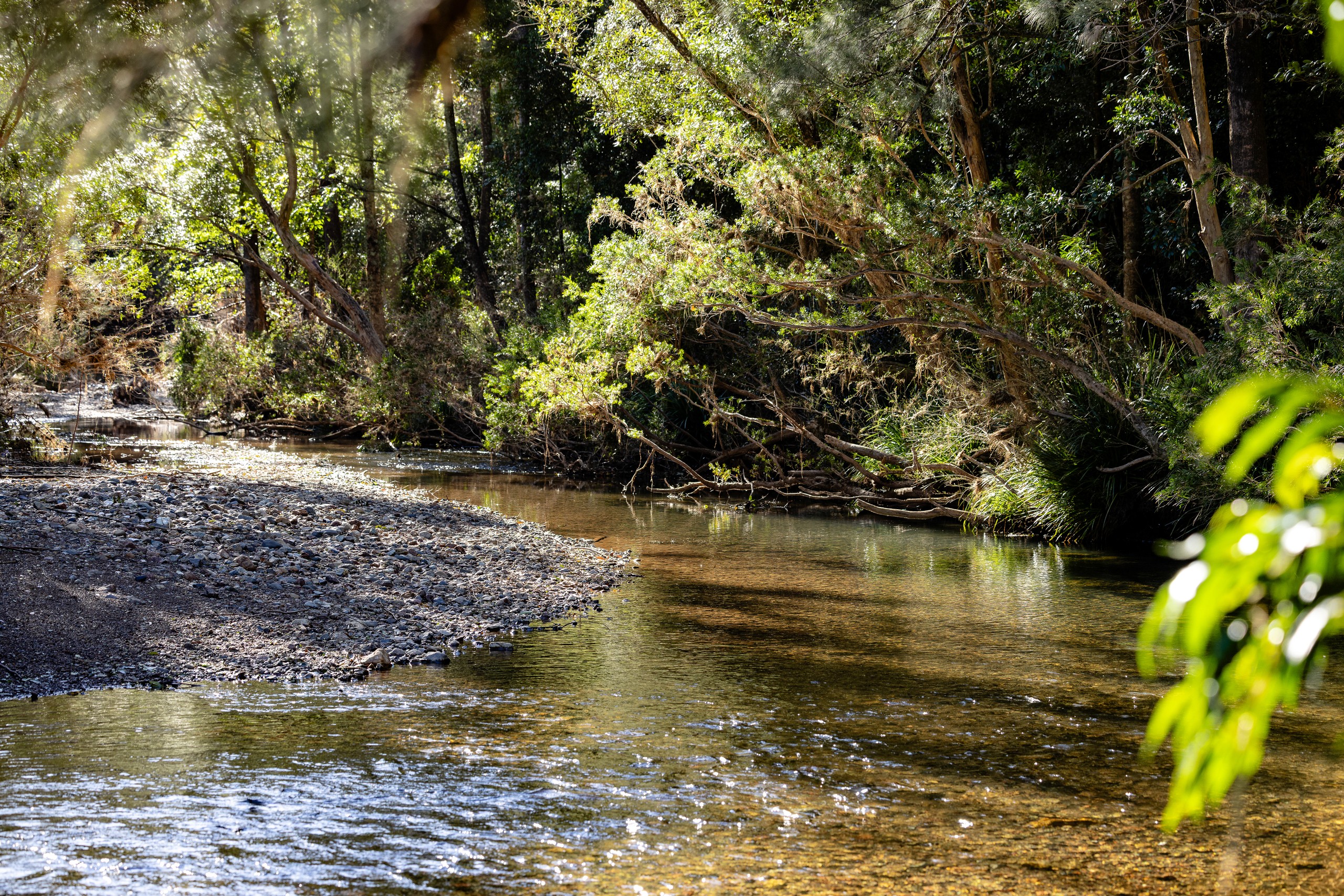 132 Little Run Road, Wherrol Flat, NSW 2429