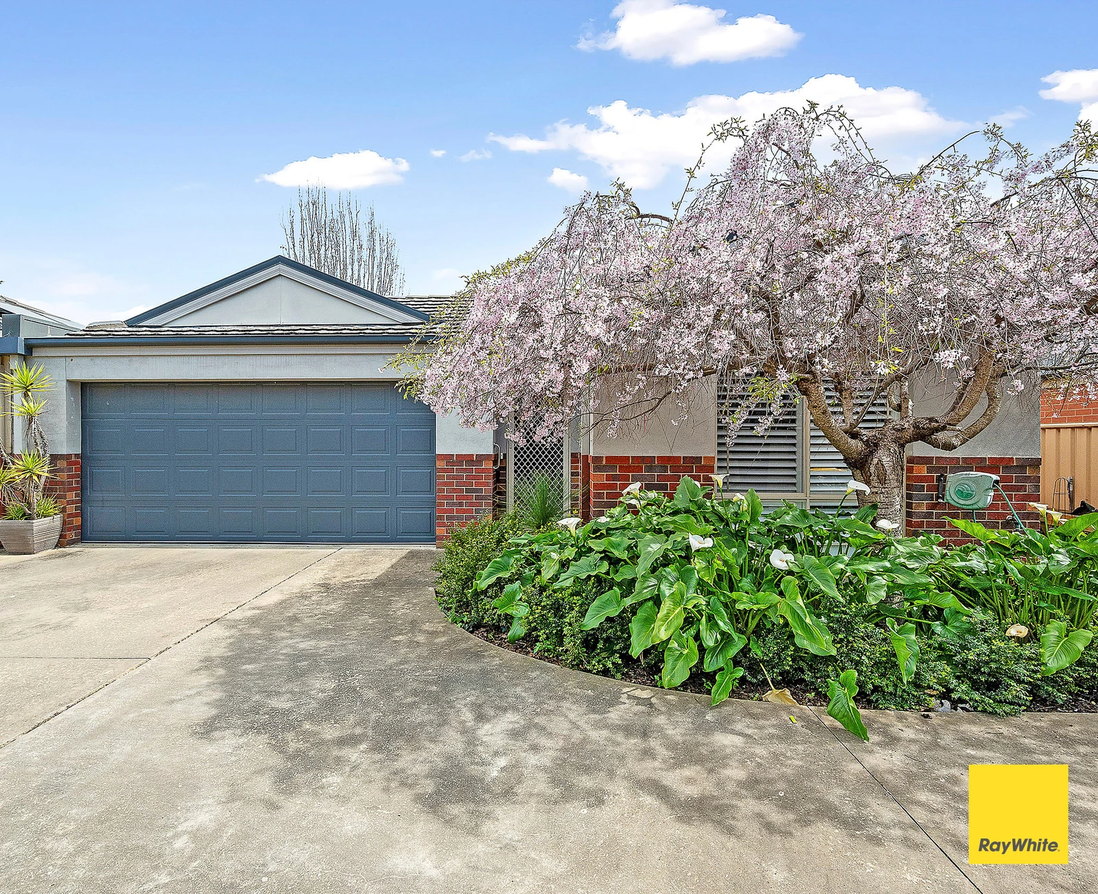 4/118A Havlin Street West, Quarry Hill, VIC 3550