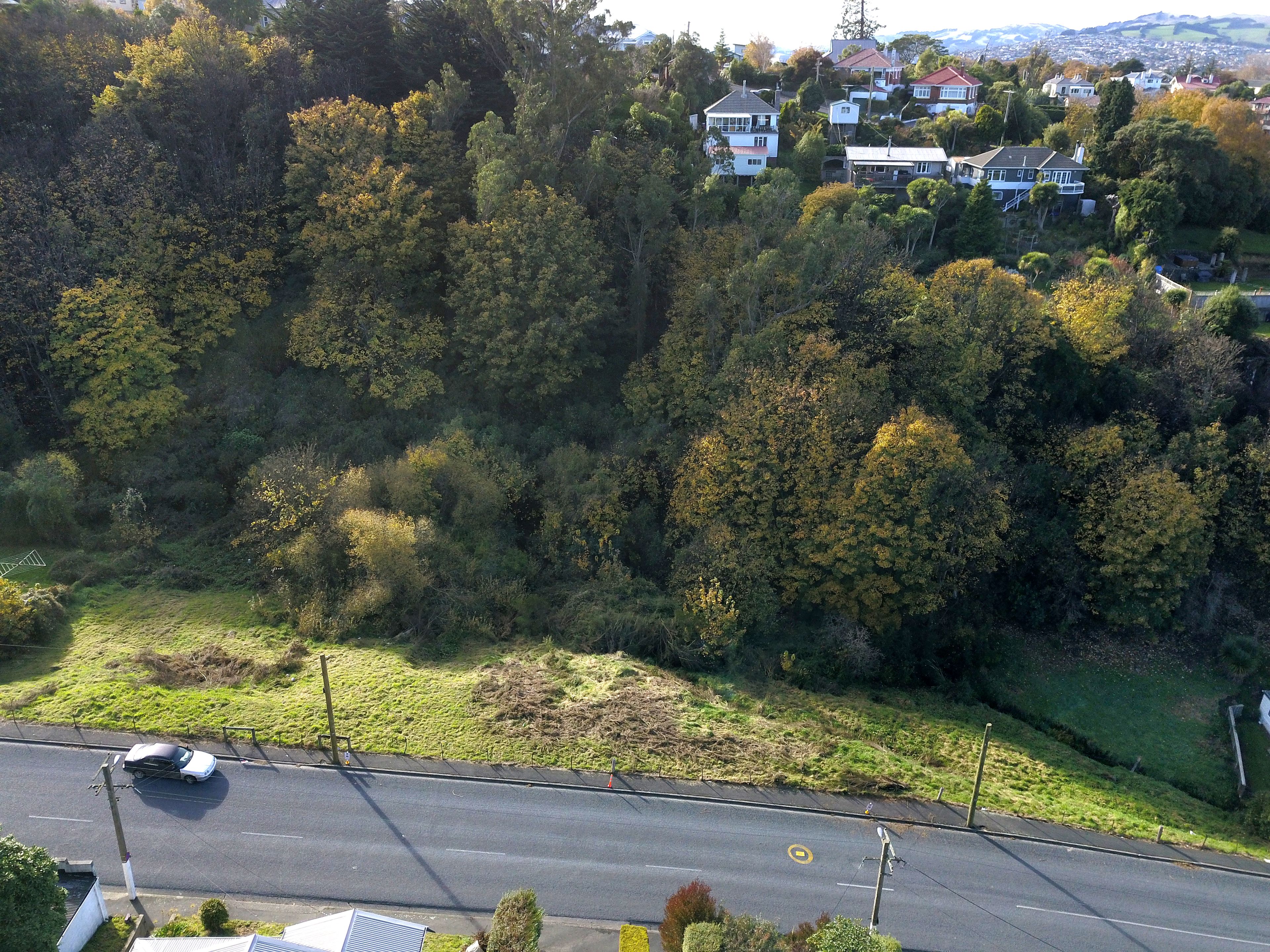 81 Glen Road, Mornington, Dunedin City