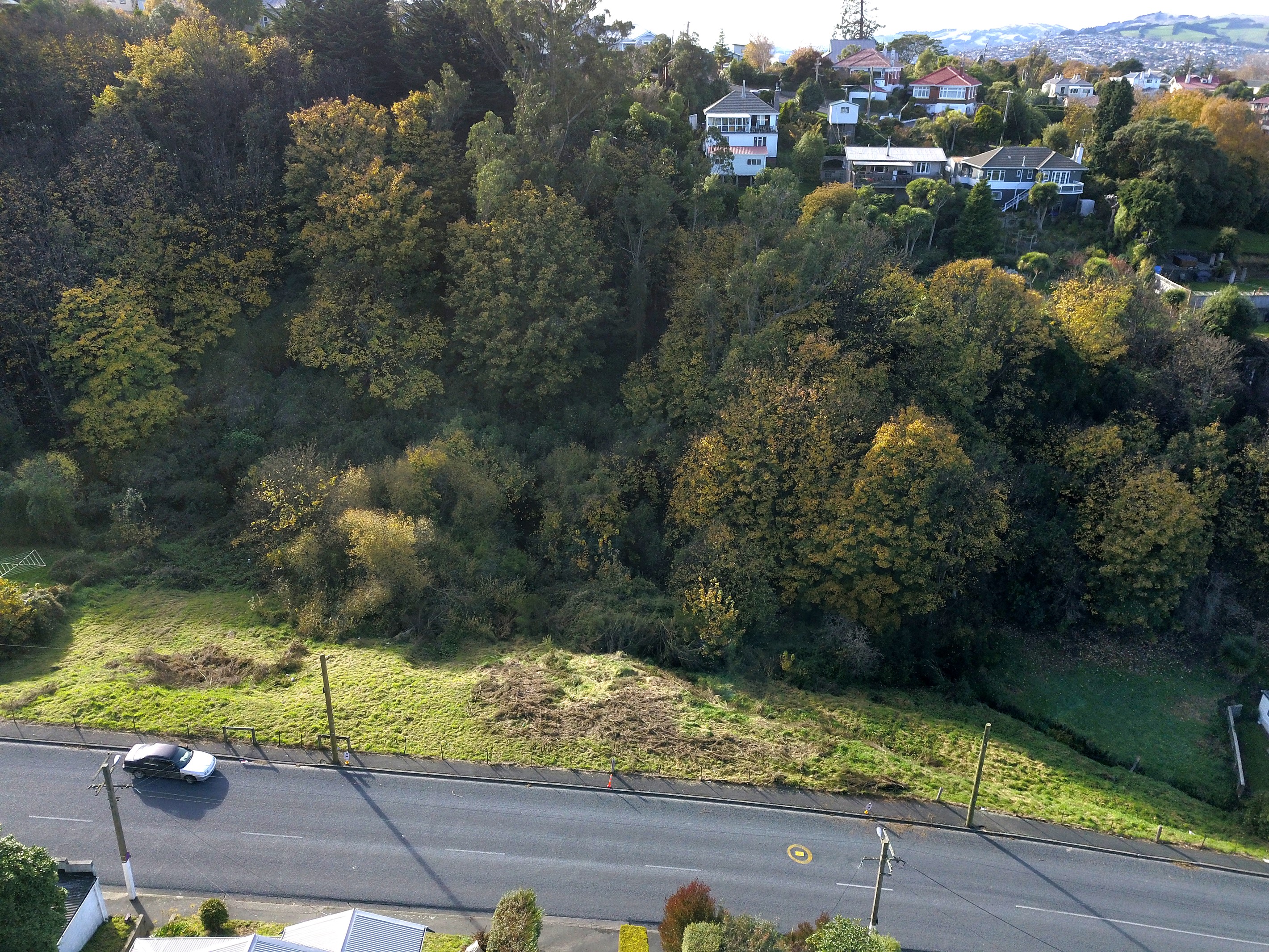 81 Glen Road, Mornington, Dunedin City