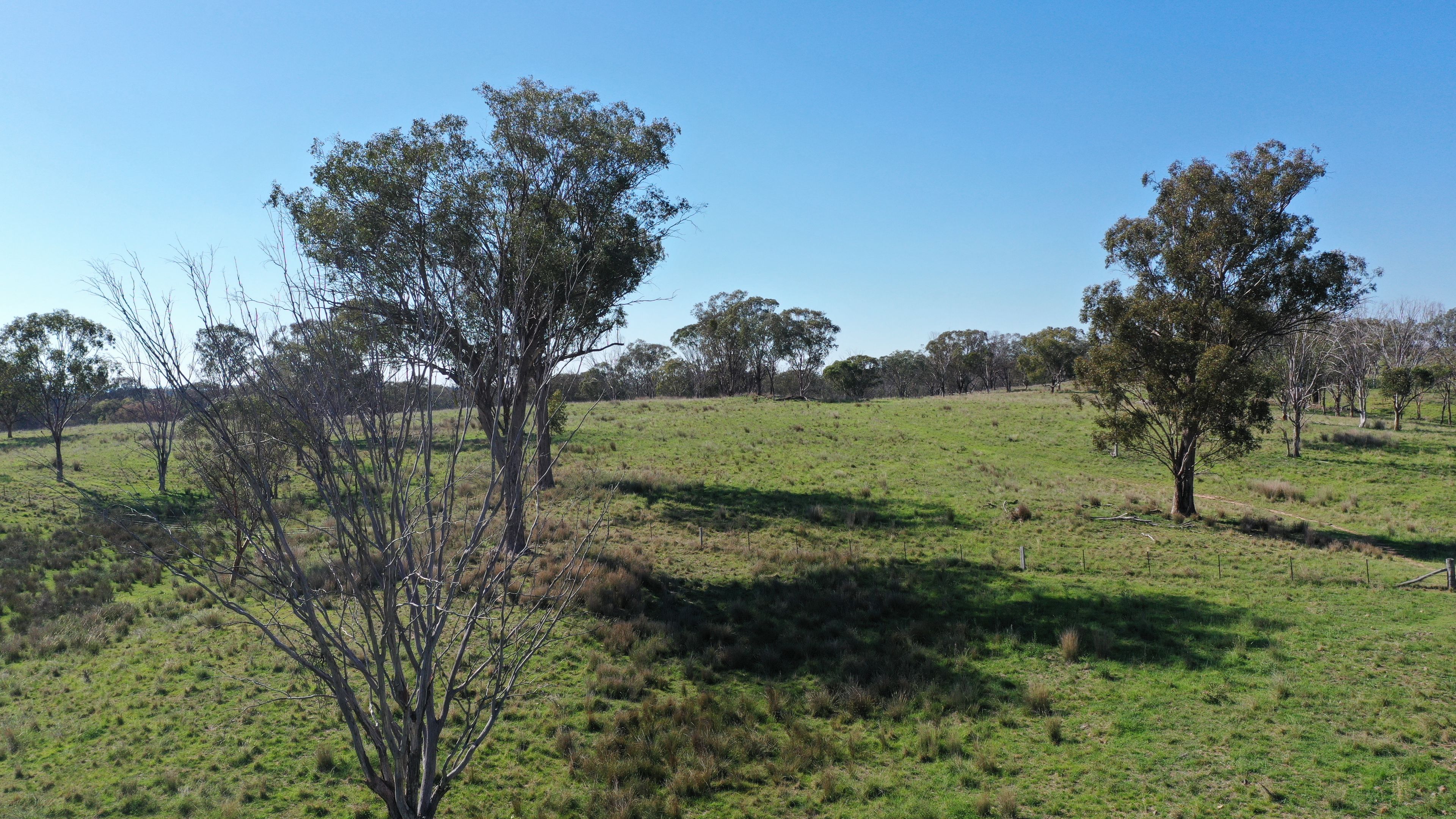 216 Mt Drummond Road, Bundarra, NSW 2359 Sold Rural Property Ray