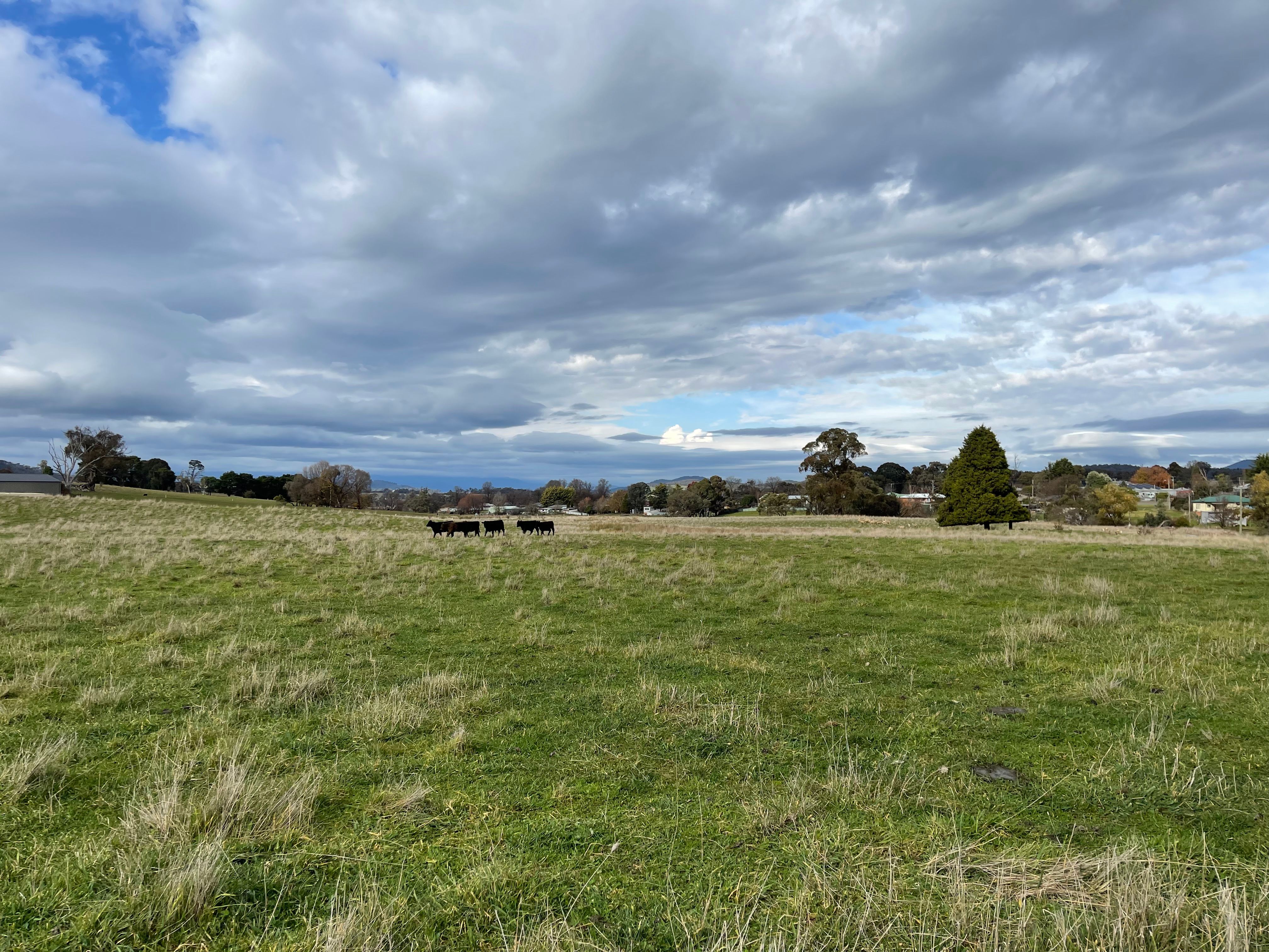 Lot 138 Chisholm Street, Tumbarumba, NSW 2653 Land for Sale Ray
