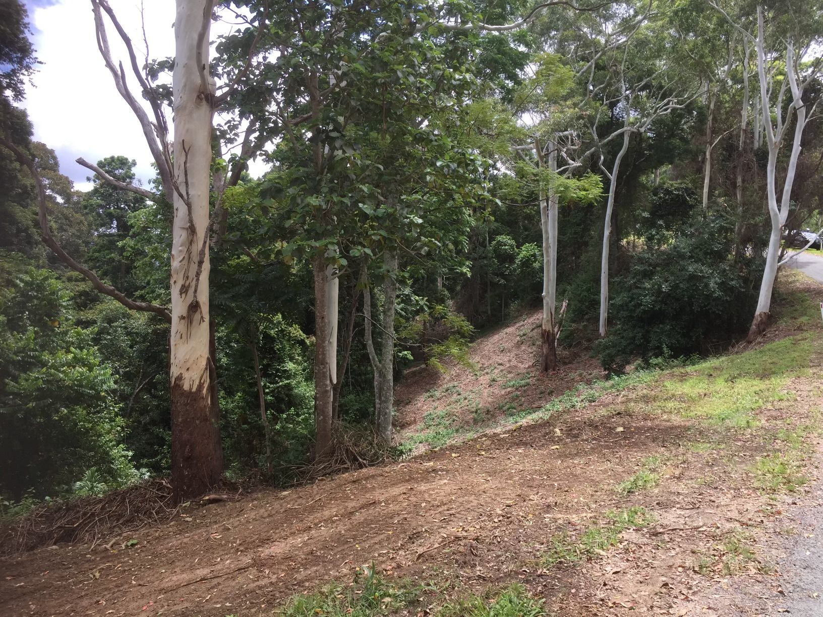 156 Freds Road, Ocean View, QLD 4521 Sold Land Ray White Rural