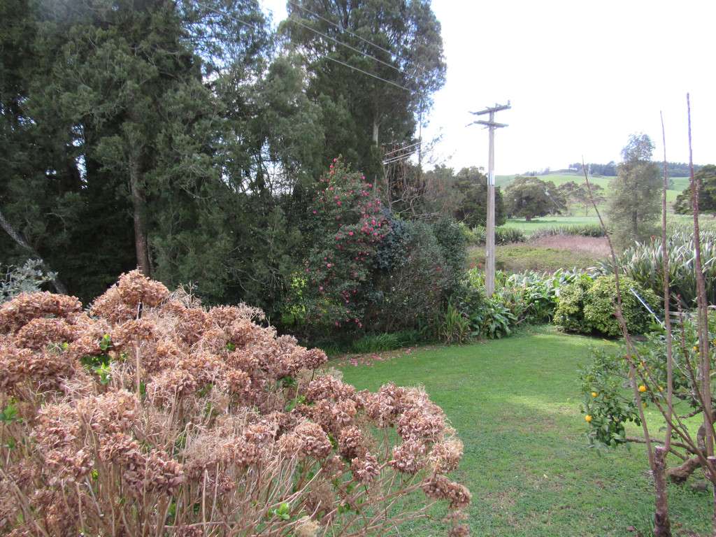 29 Kowhai Avenue, Kaikohe, Kaikohe, Far North District Real Estate