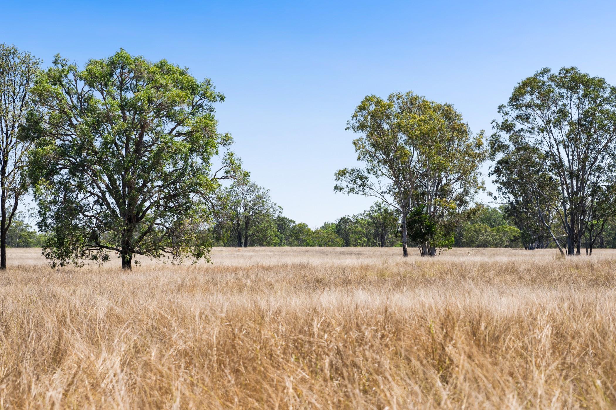 Lot 14 Coes Boundary Road, Durong, QLD 4610