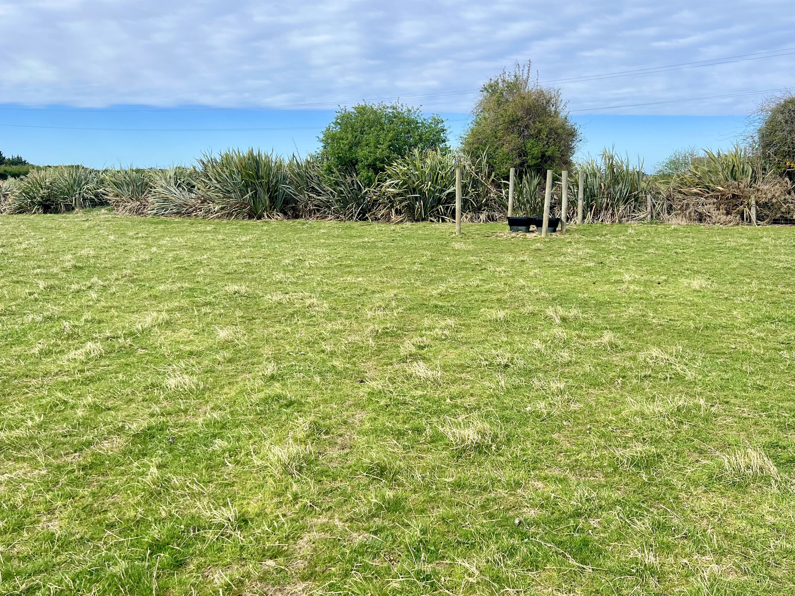 70 Woodlands Cemetery Road, Woodlands, Southland District