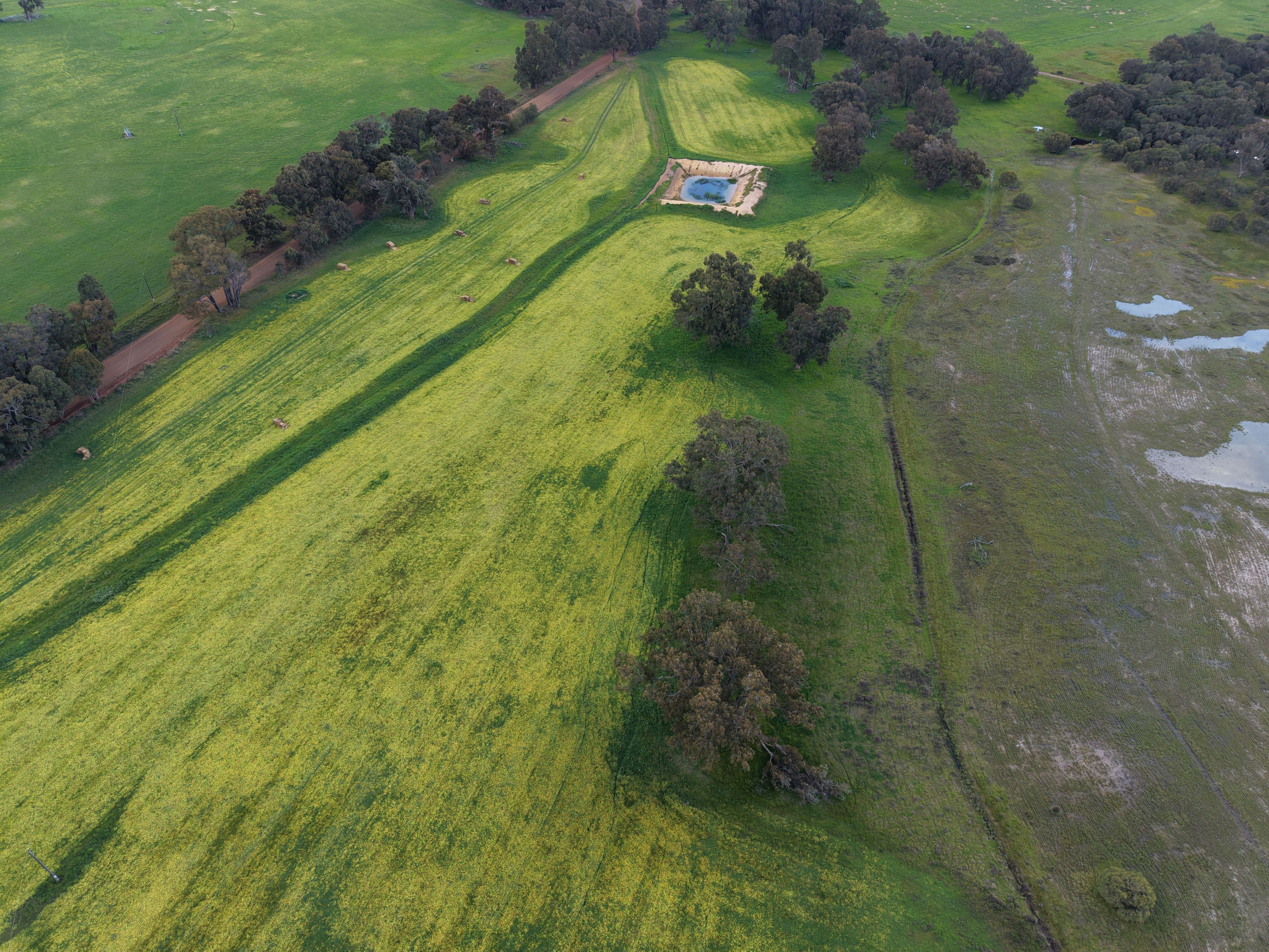 PL 803 Kulikup Road South — photo 10 of 12