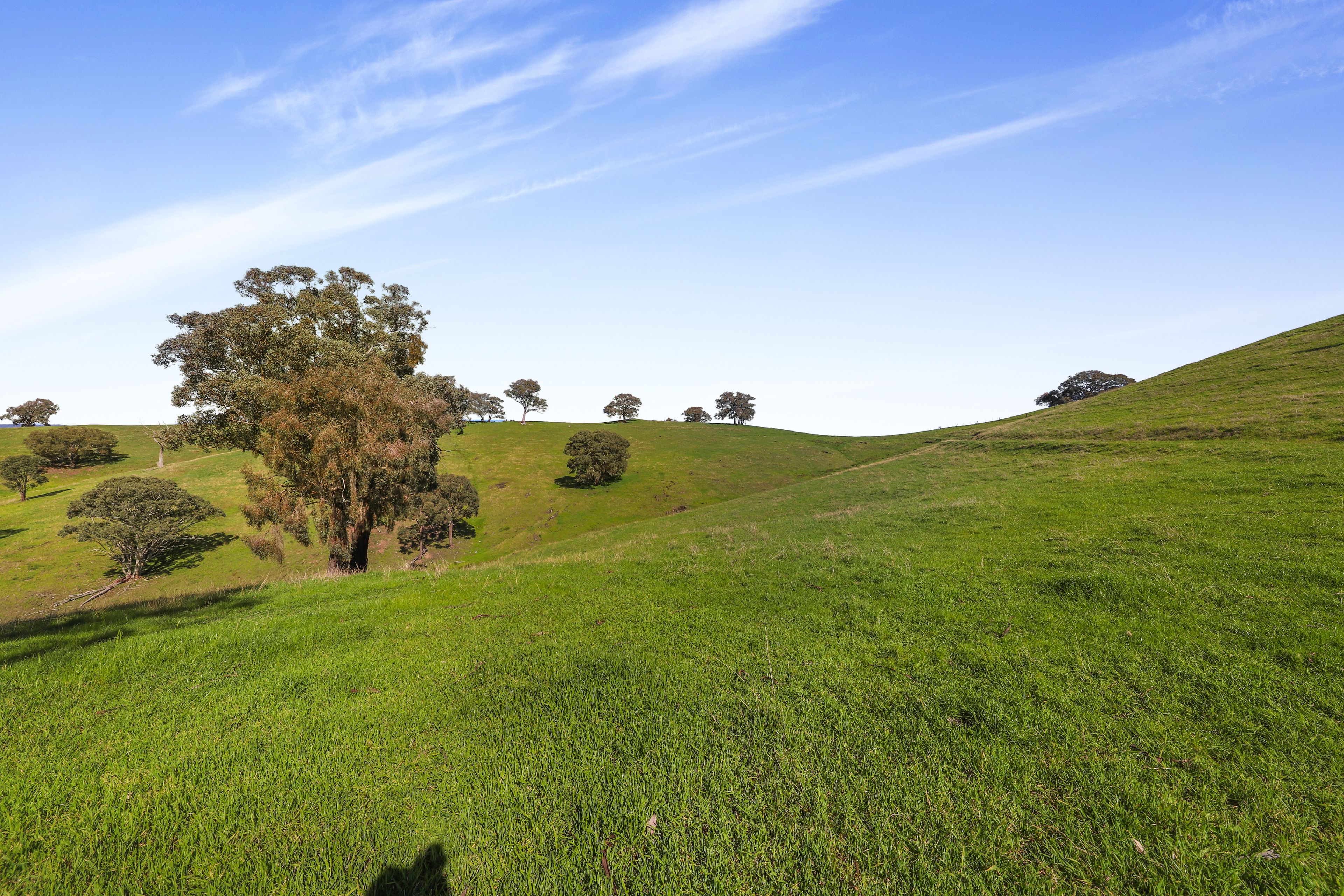 Lot 6 & 7 Brungle Road — photo 11 of 12
