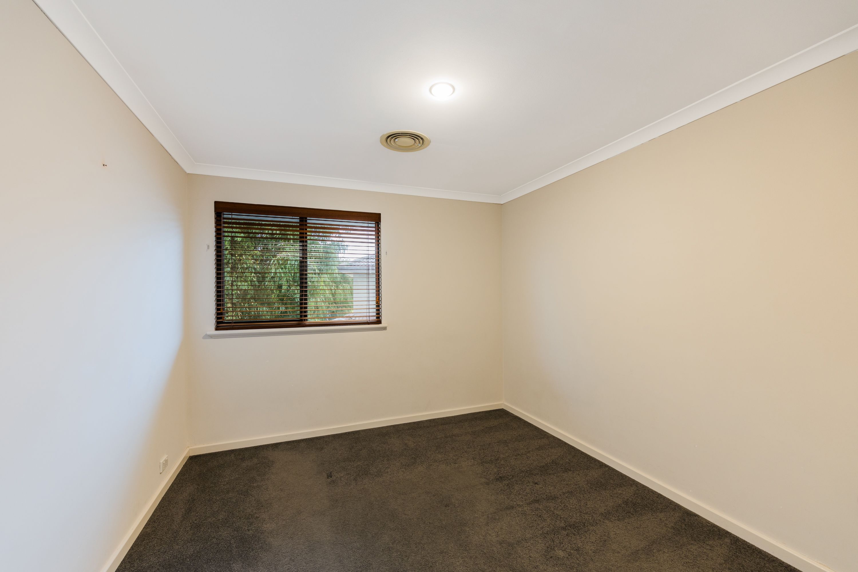 3/12 Hymus Street — photo 14 of 20