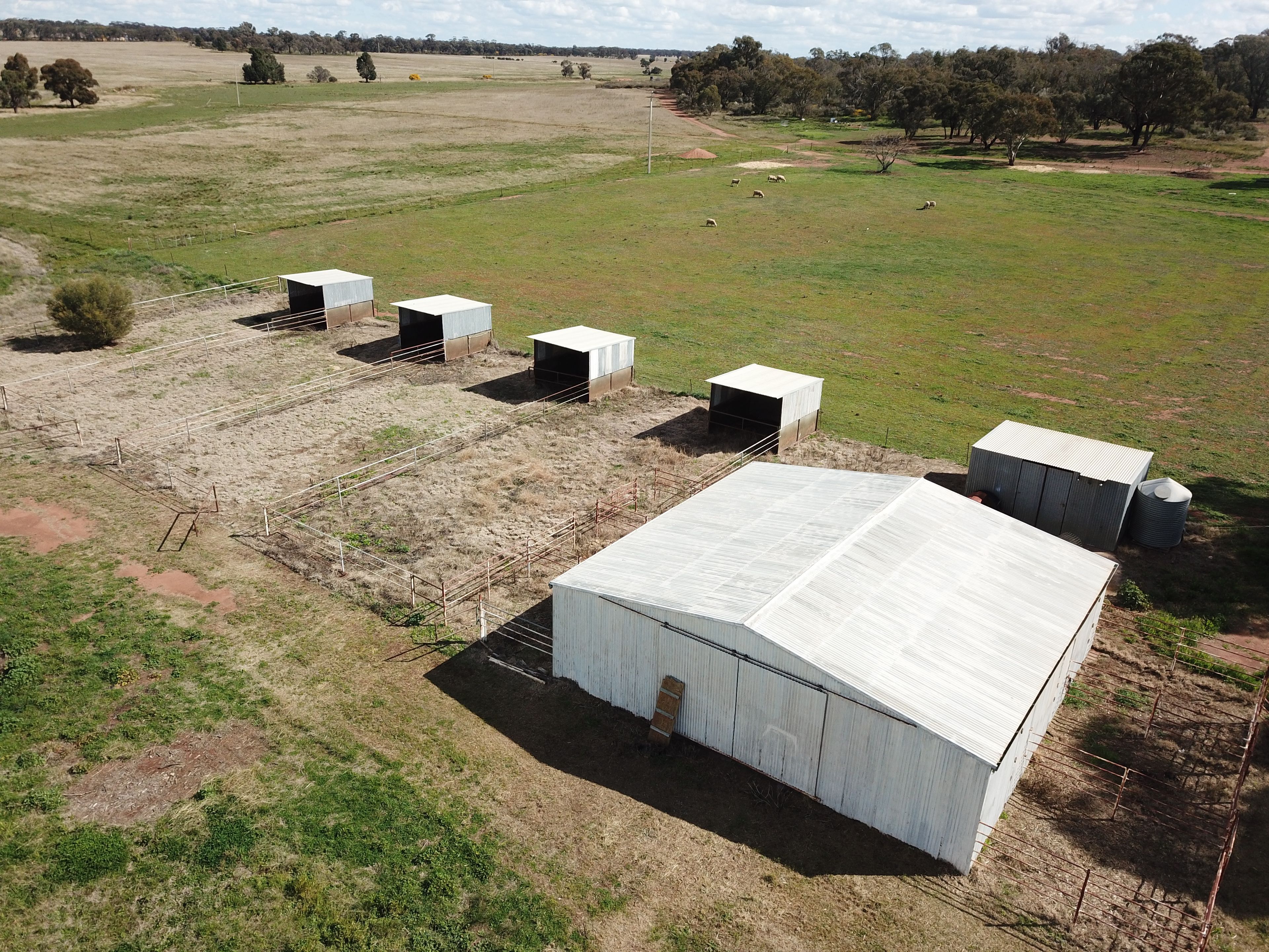 Rosebank 12983 Newell Highway, West Wyalong, NSW 2671