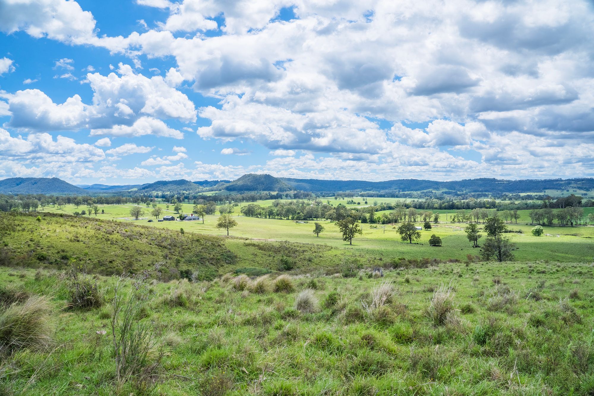 449 Glen William Road, Glen William, NSW 2321 Sold Rural Property