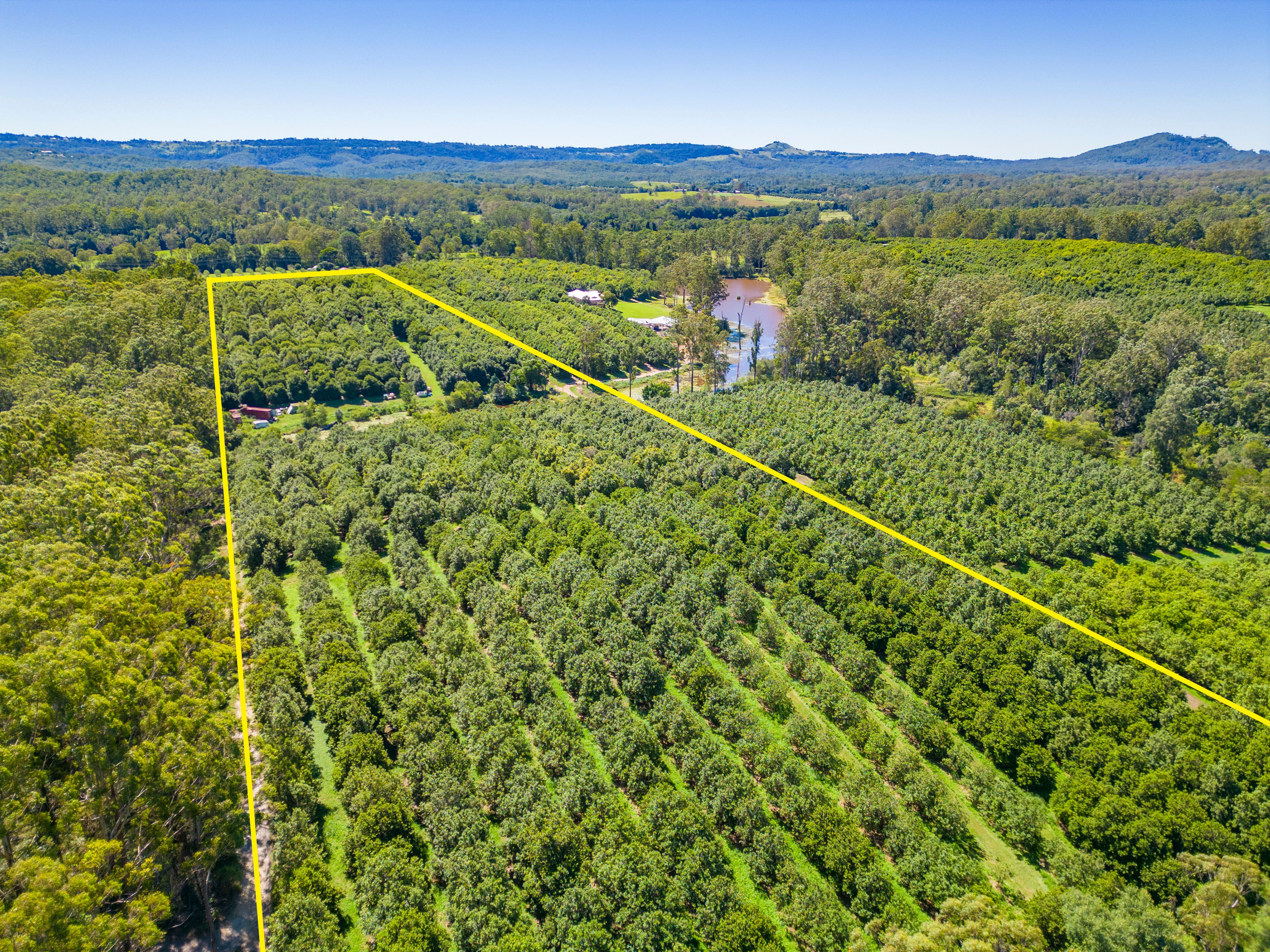 343 Commissioners Flat Road, Peachester, QLD 4519 Rural Cropping