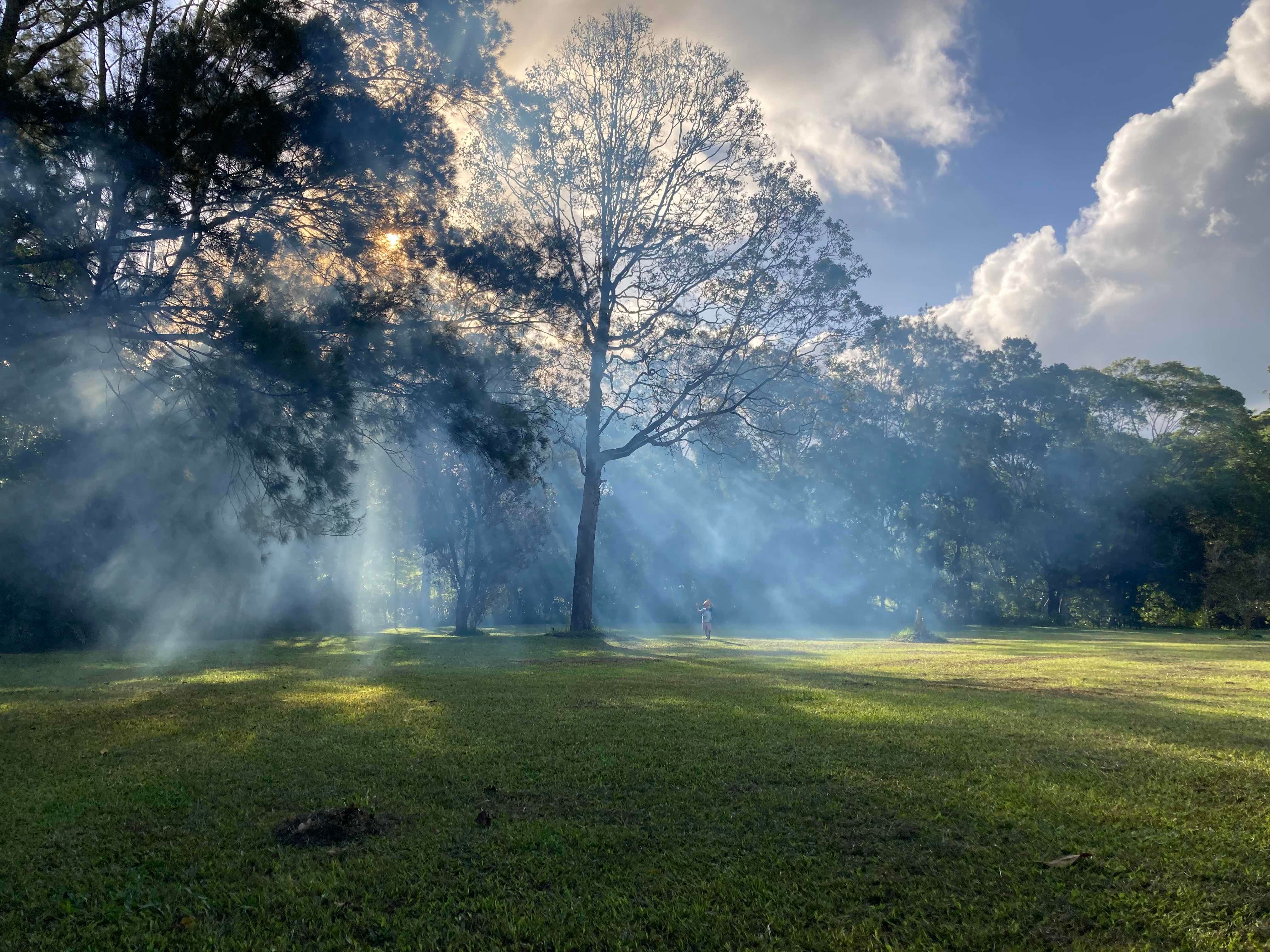 171 Lakes Drive, Lake Eacham, QLD 4884