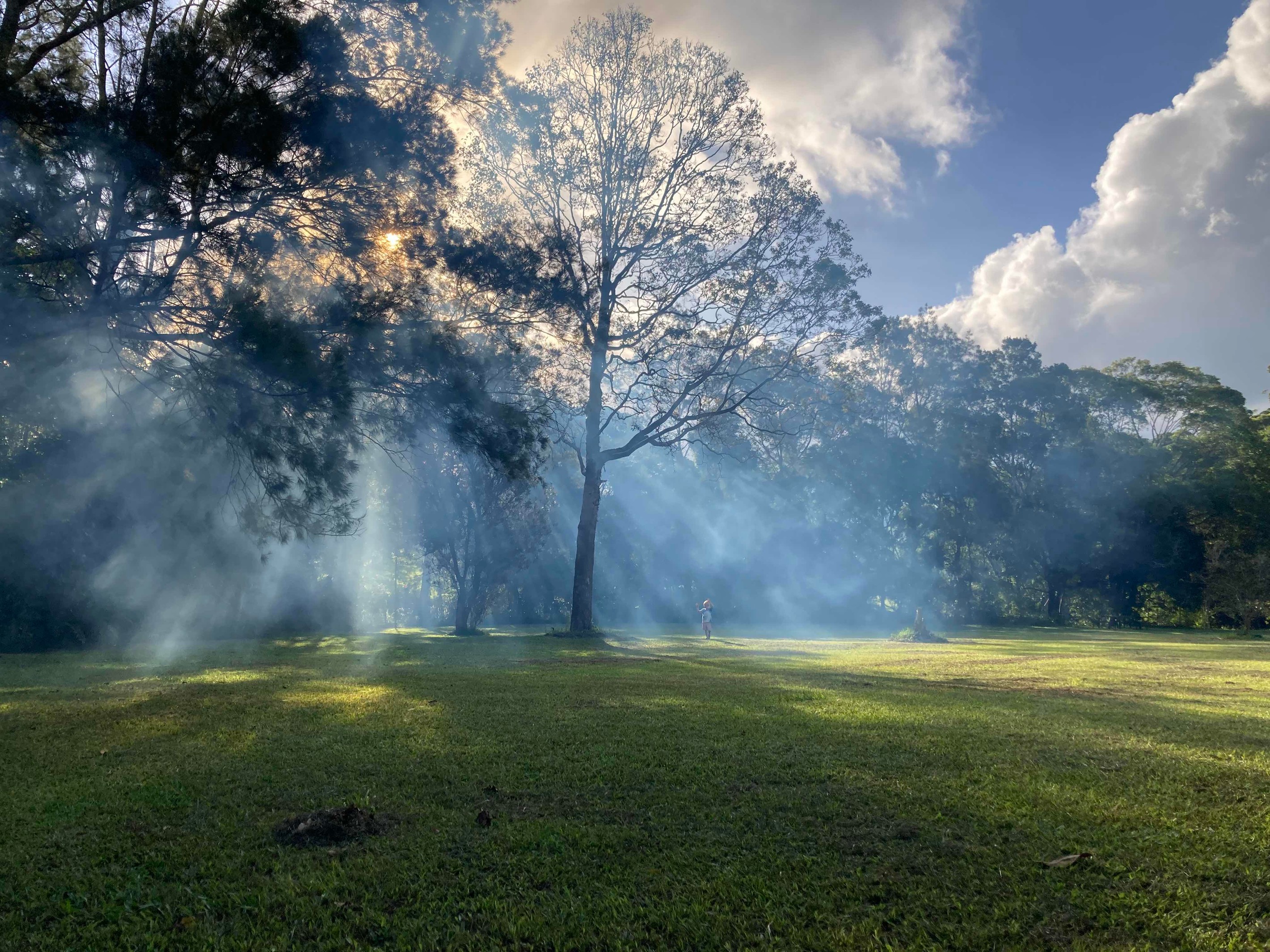 171 Lakes Drive, Lake Eacham, QLD 4884