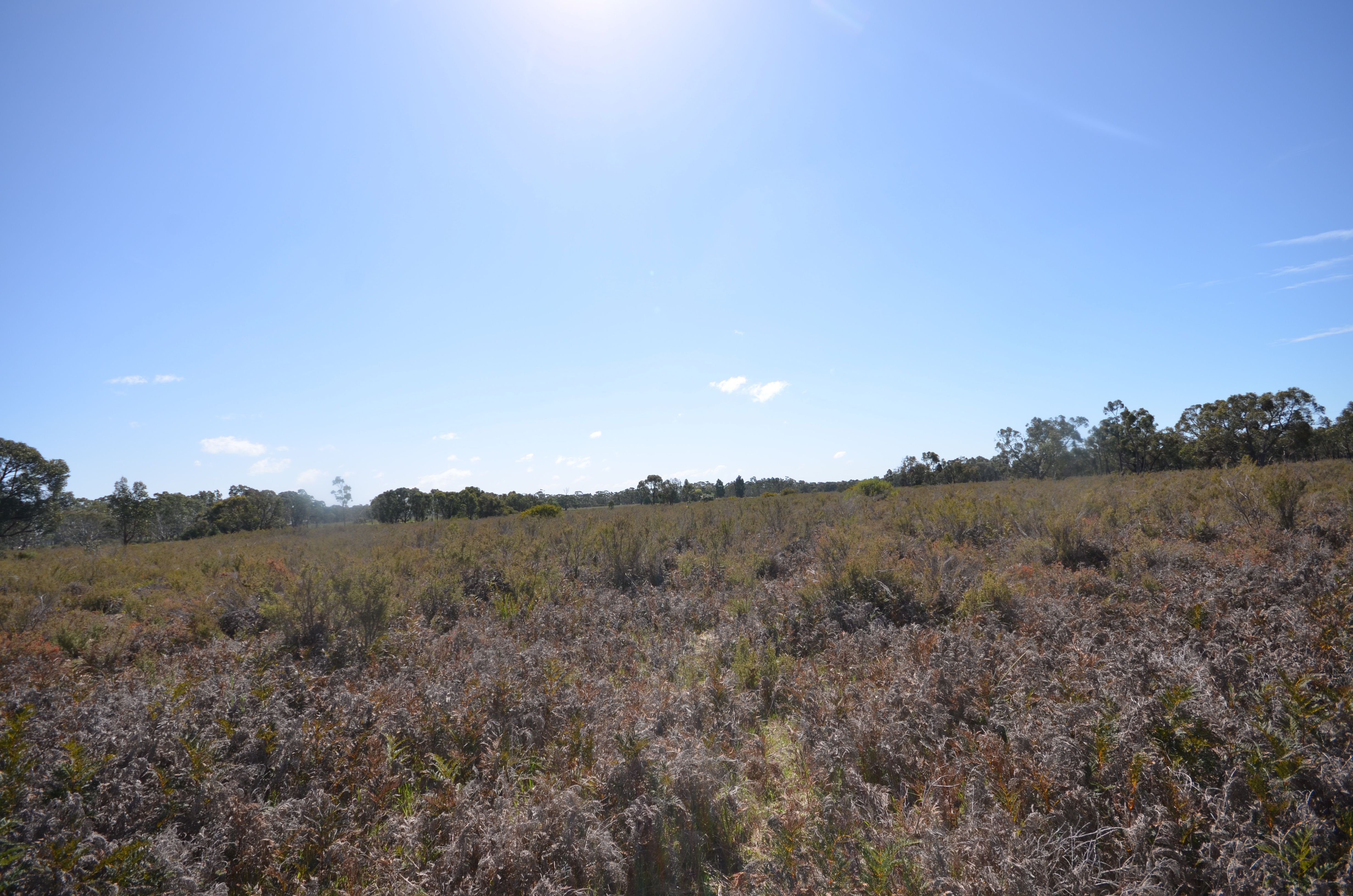 Lot 29 Patricias Road, Edenhope, VIC 3318